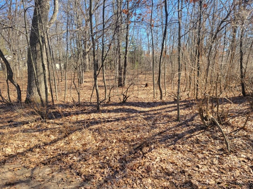 Lot 34 Seelinger Drive photo 2