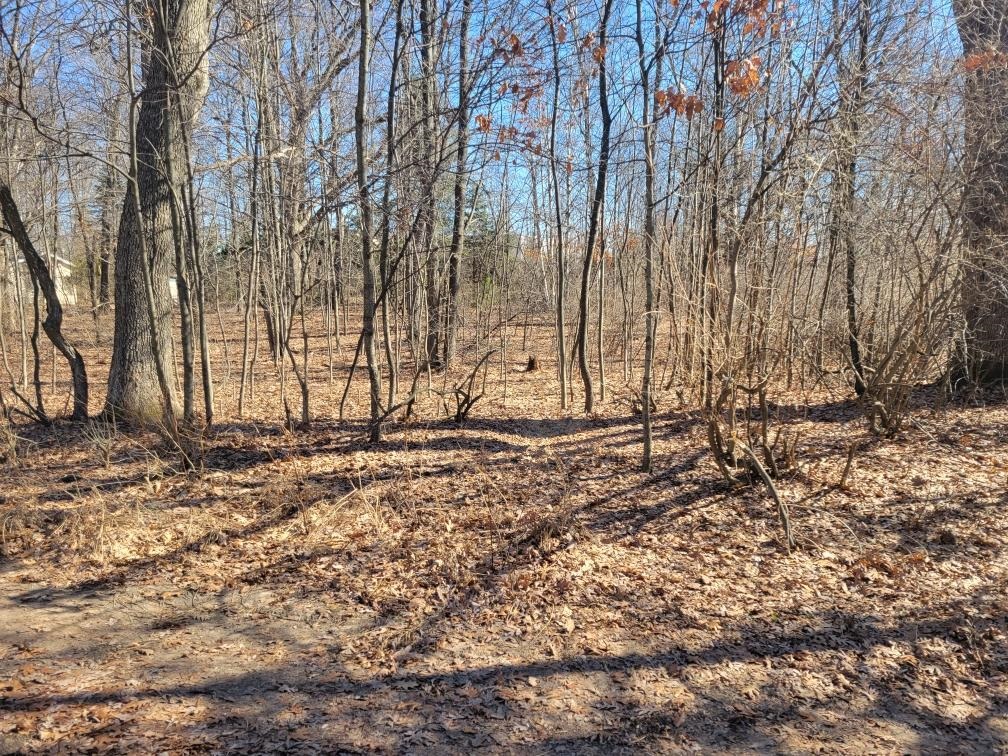 Lot 34 Seelinger Drive photo 3