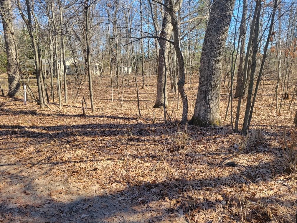 Lot 34 Seelinger Drive photo 4