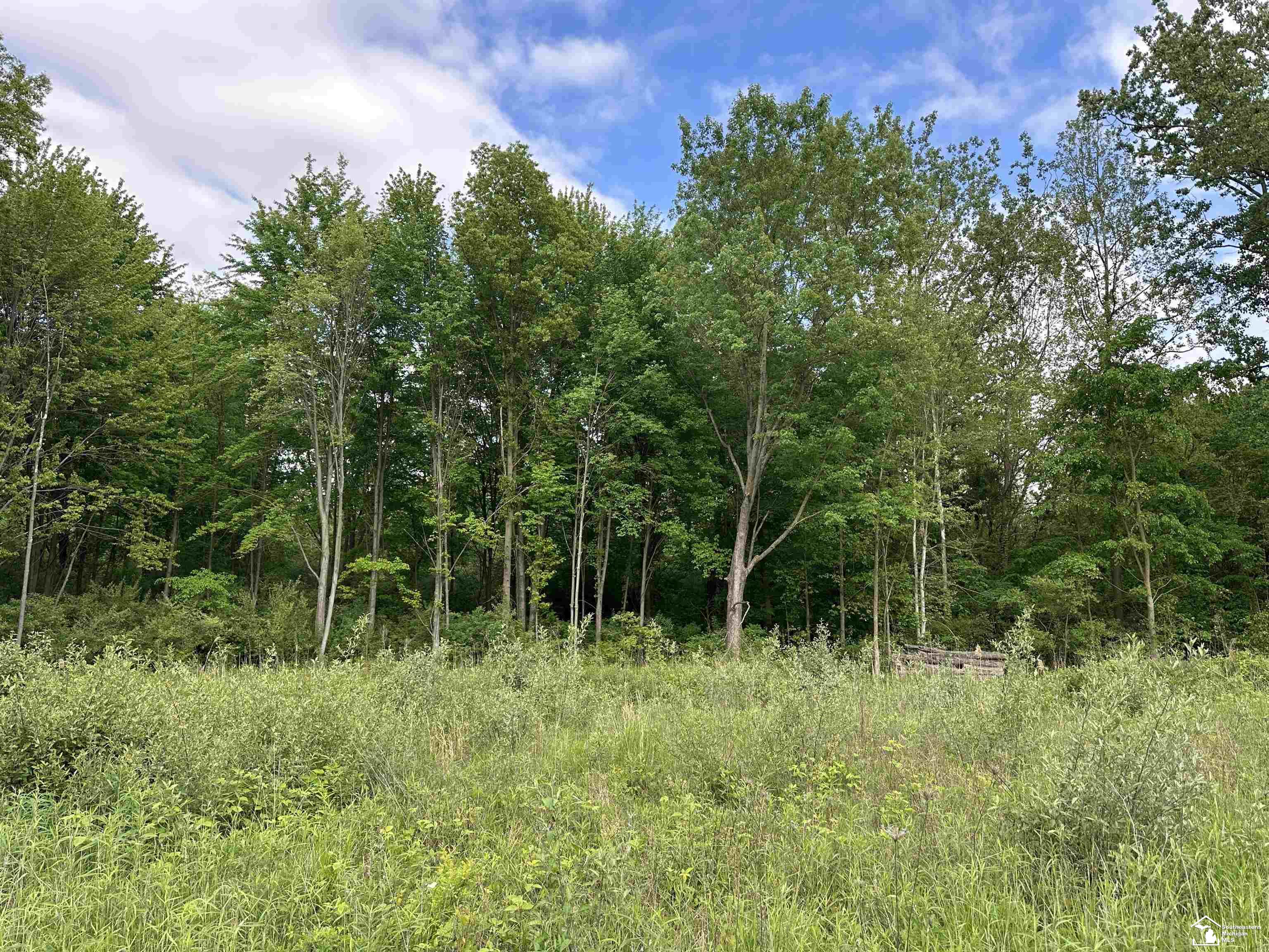 3886 Douglas Road photo 11