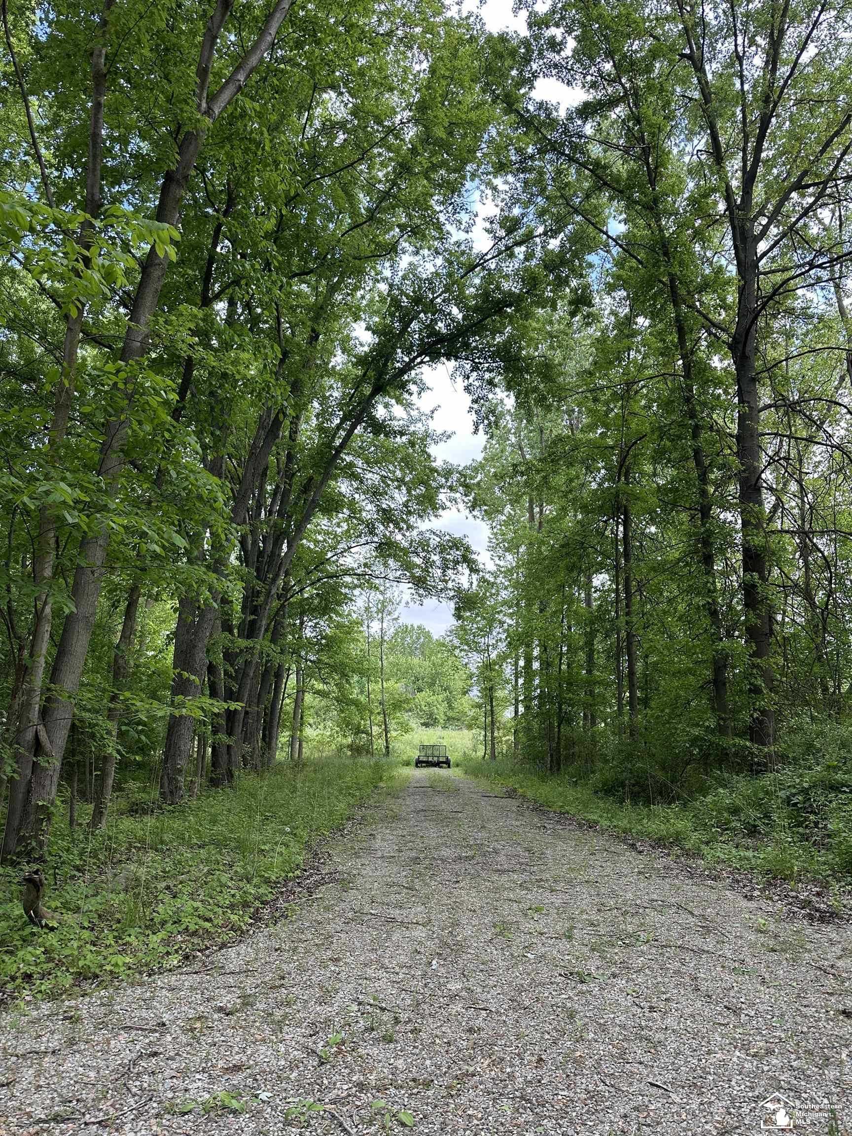 3886 Douglas Road photo 12
