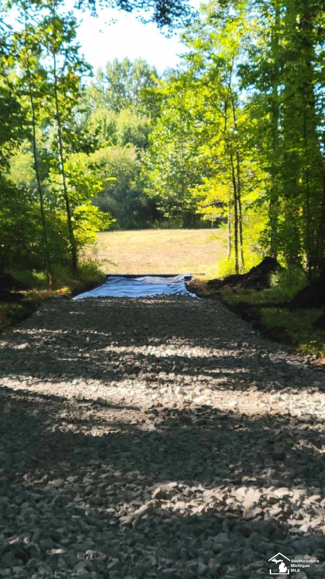 3886 Douglas Road photo 14