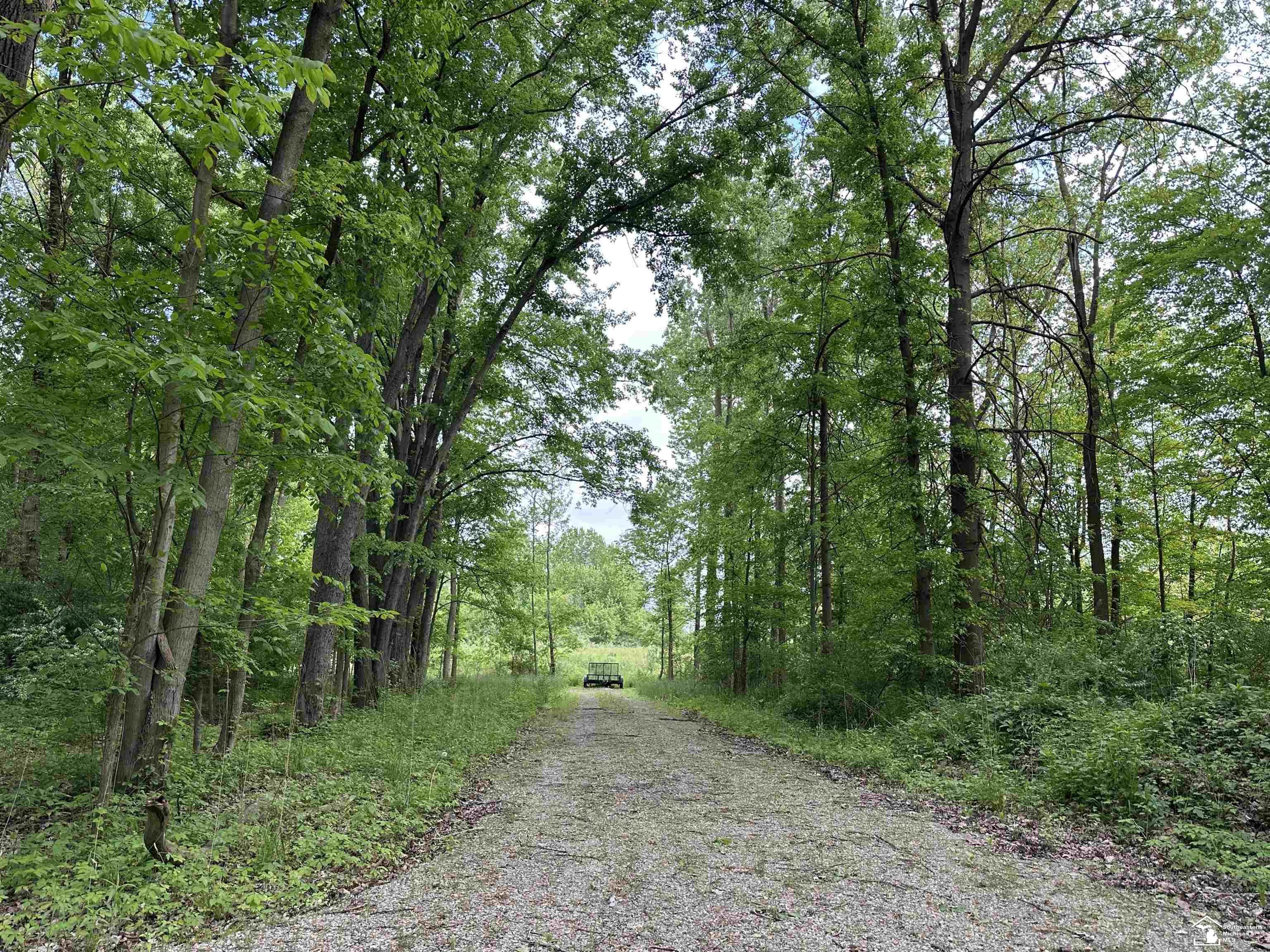 3886 Douglas Road photo 5