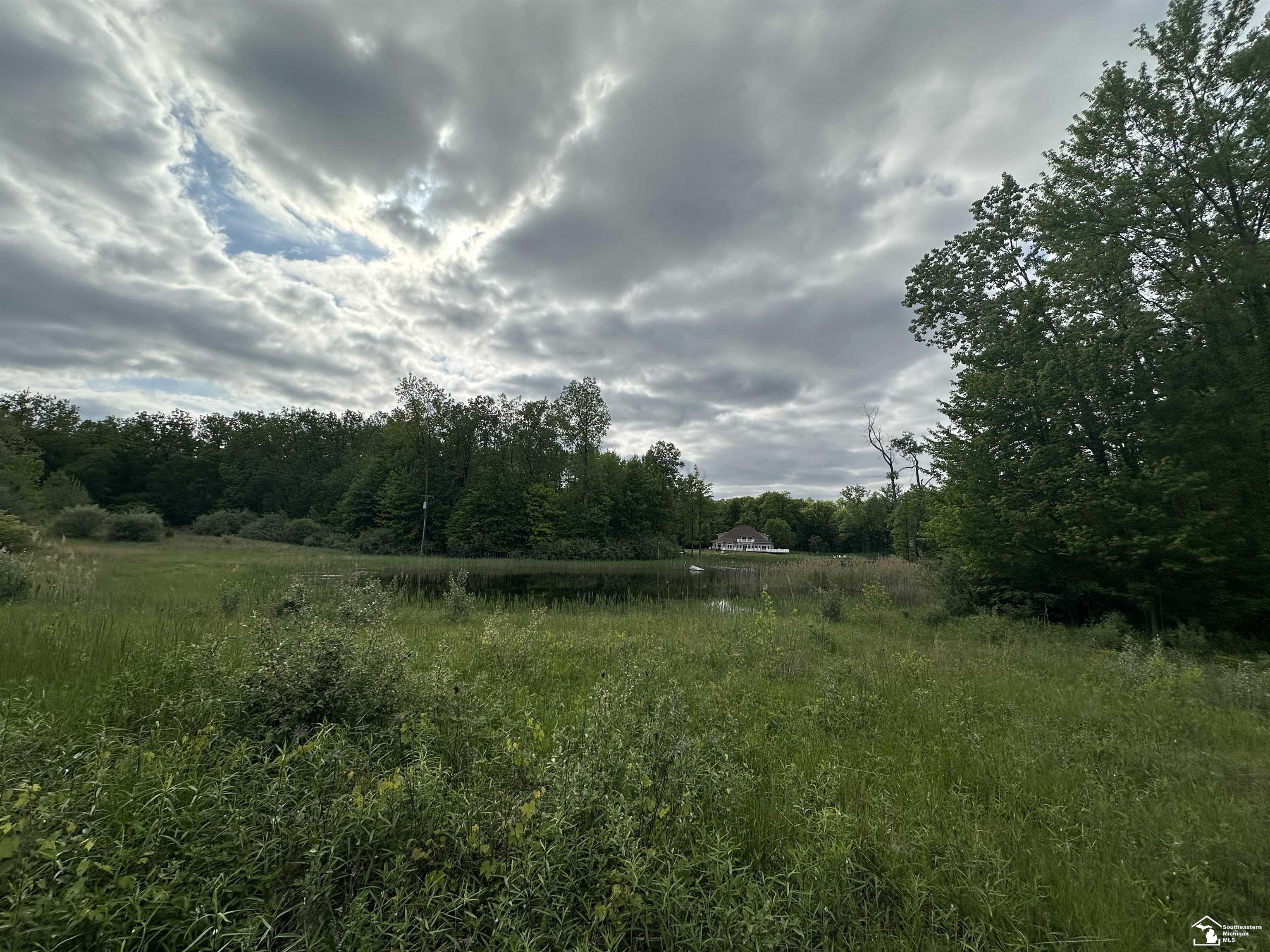 3886 Douglas Road photo 6