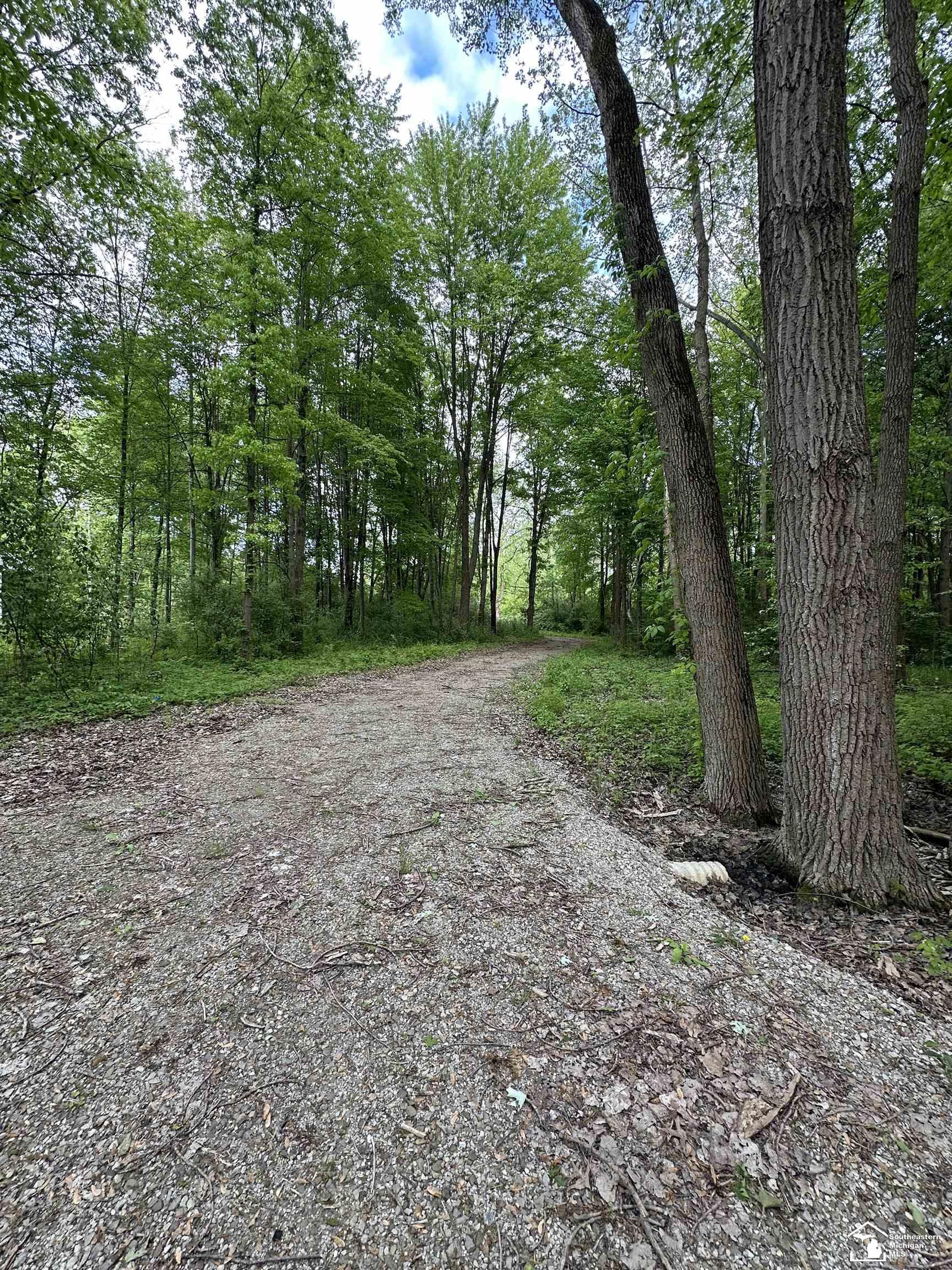 3886 Douglas Road photo 7
