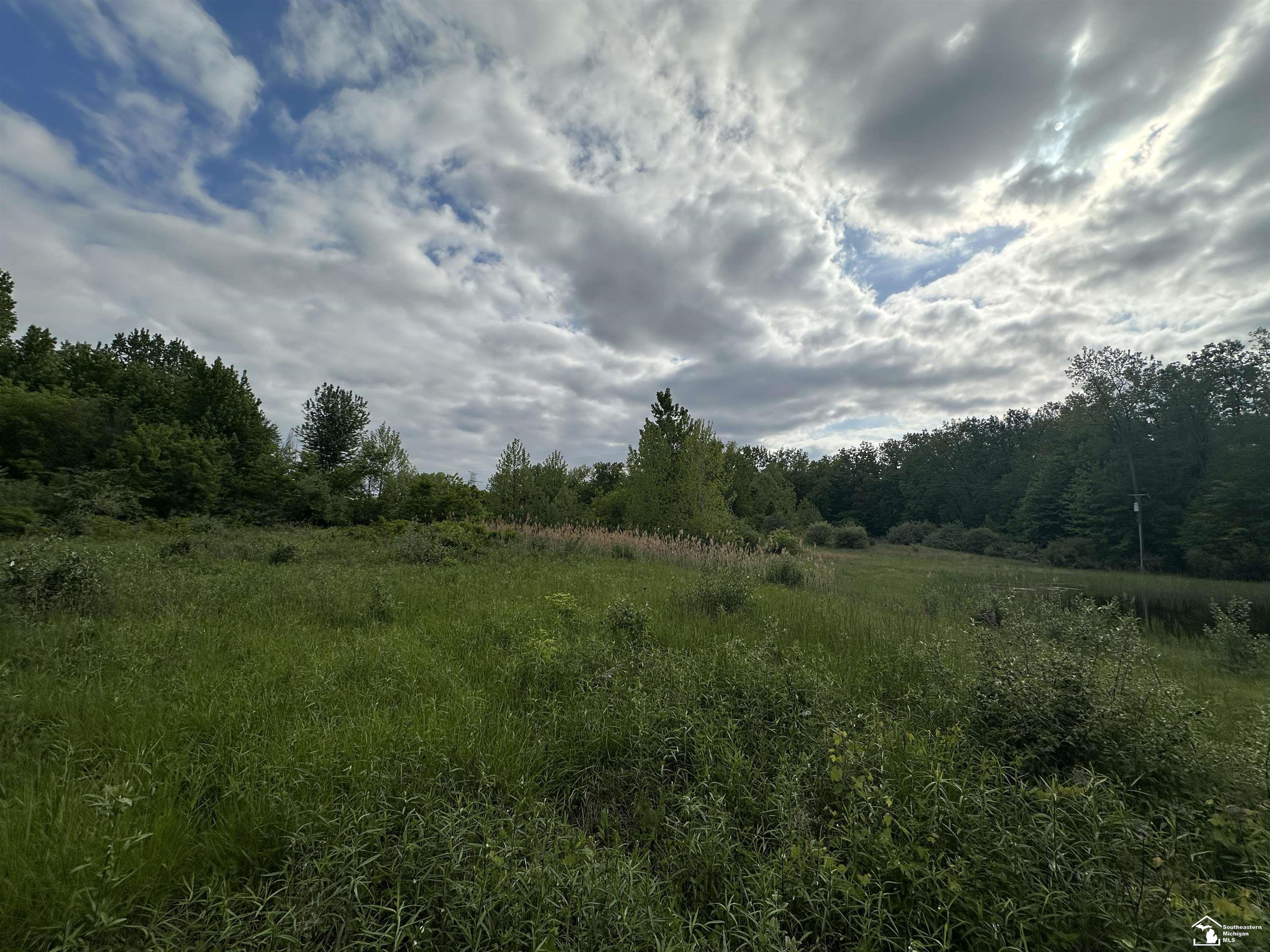 3886 Douglas Road photo 9
