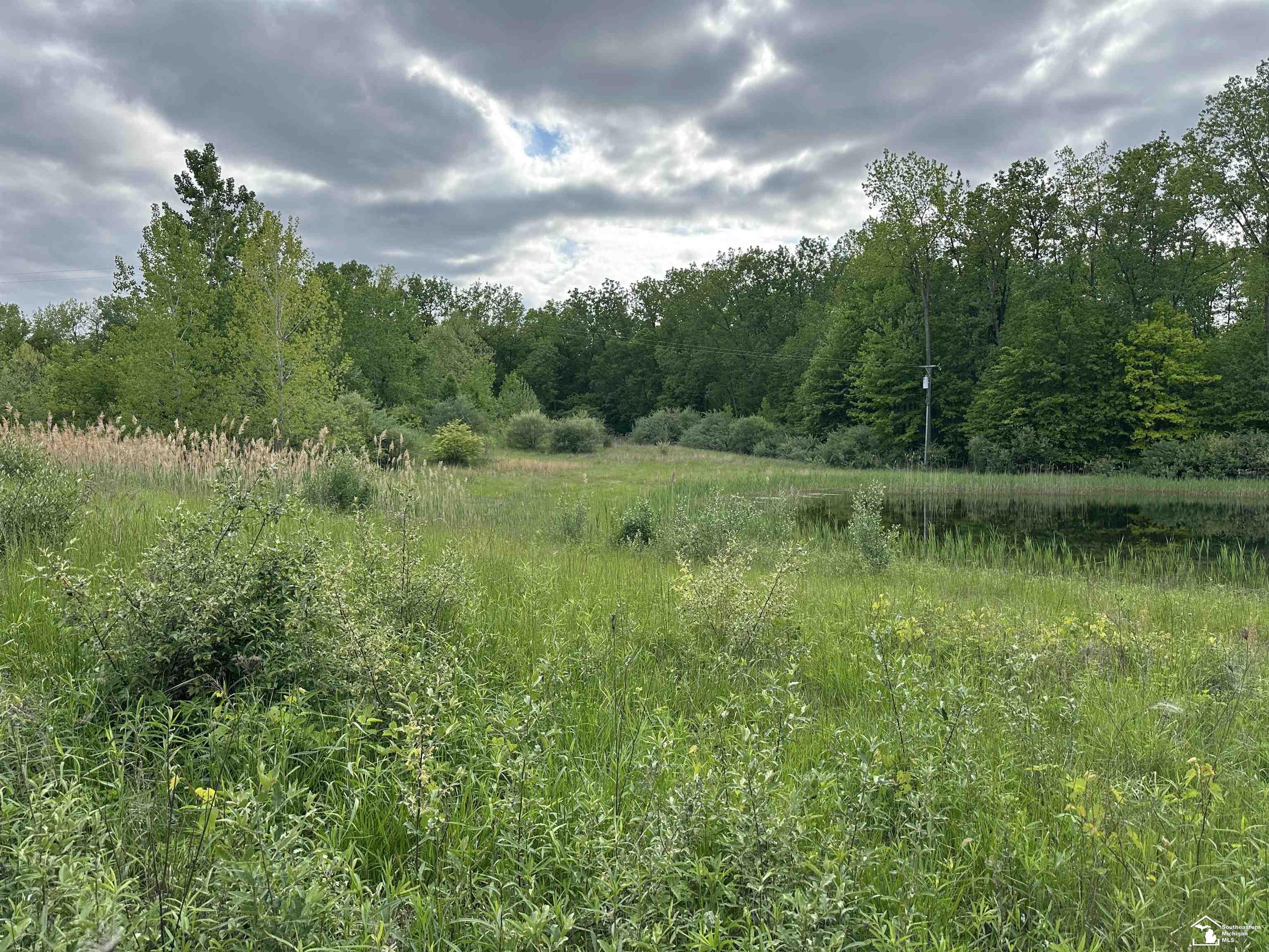 3886 Douglas Road photo 10