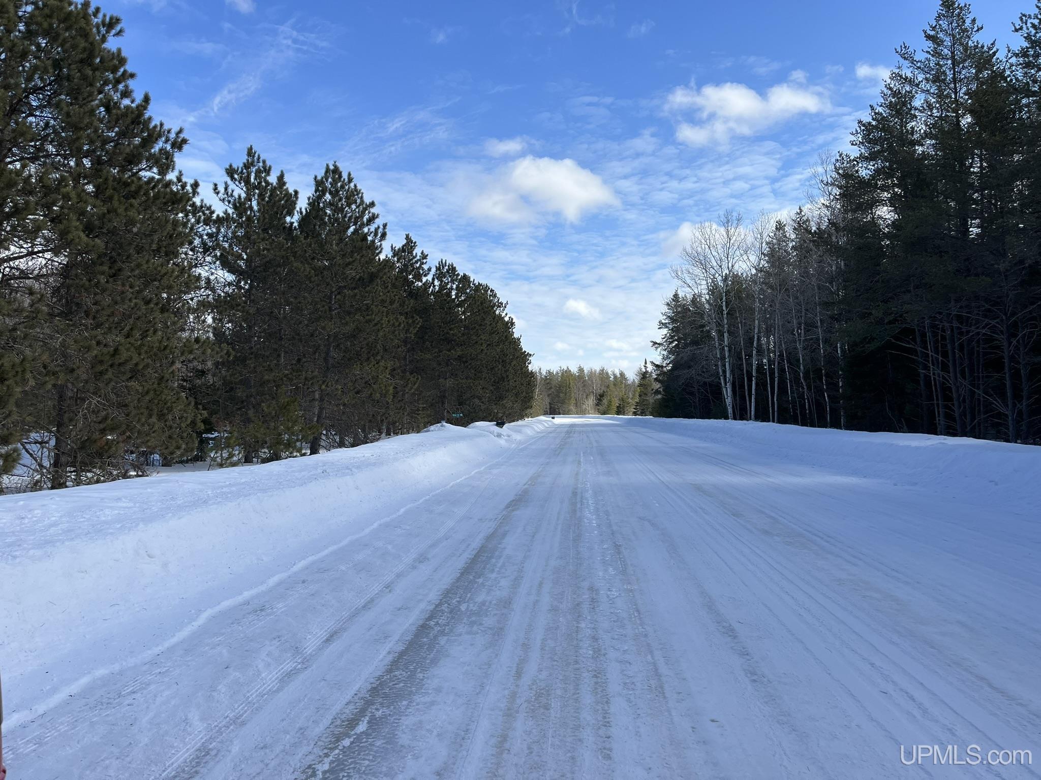 TBD W Smith Lake Road, Manistique, MI, 49854