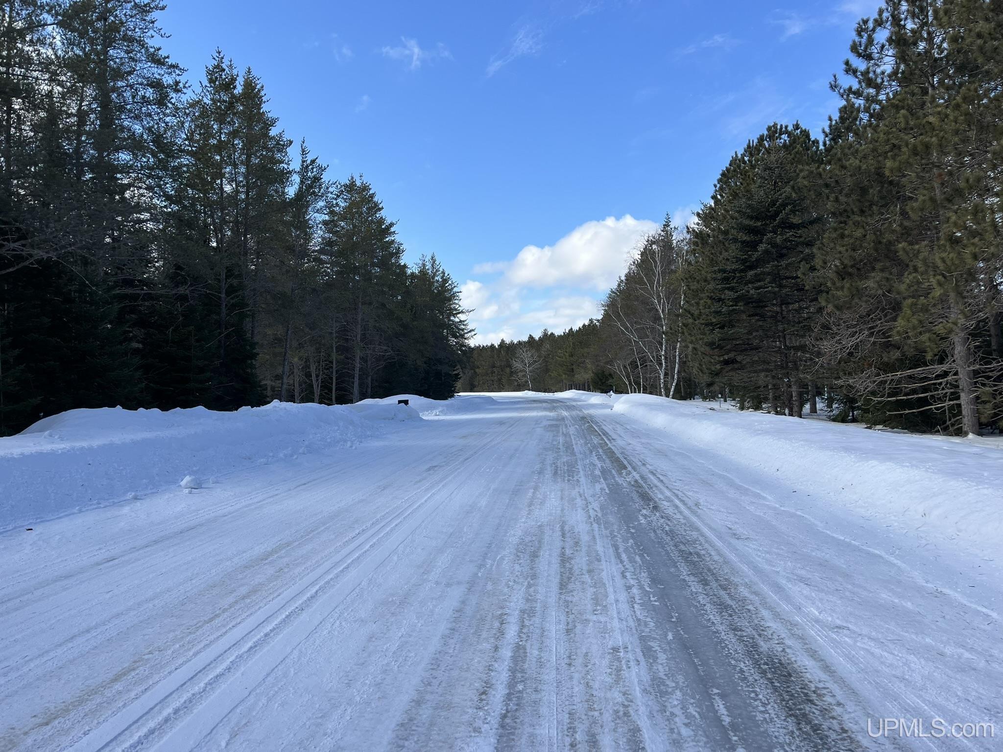 TBD W Smith Lake Road, Manistique, MI, 49854