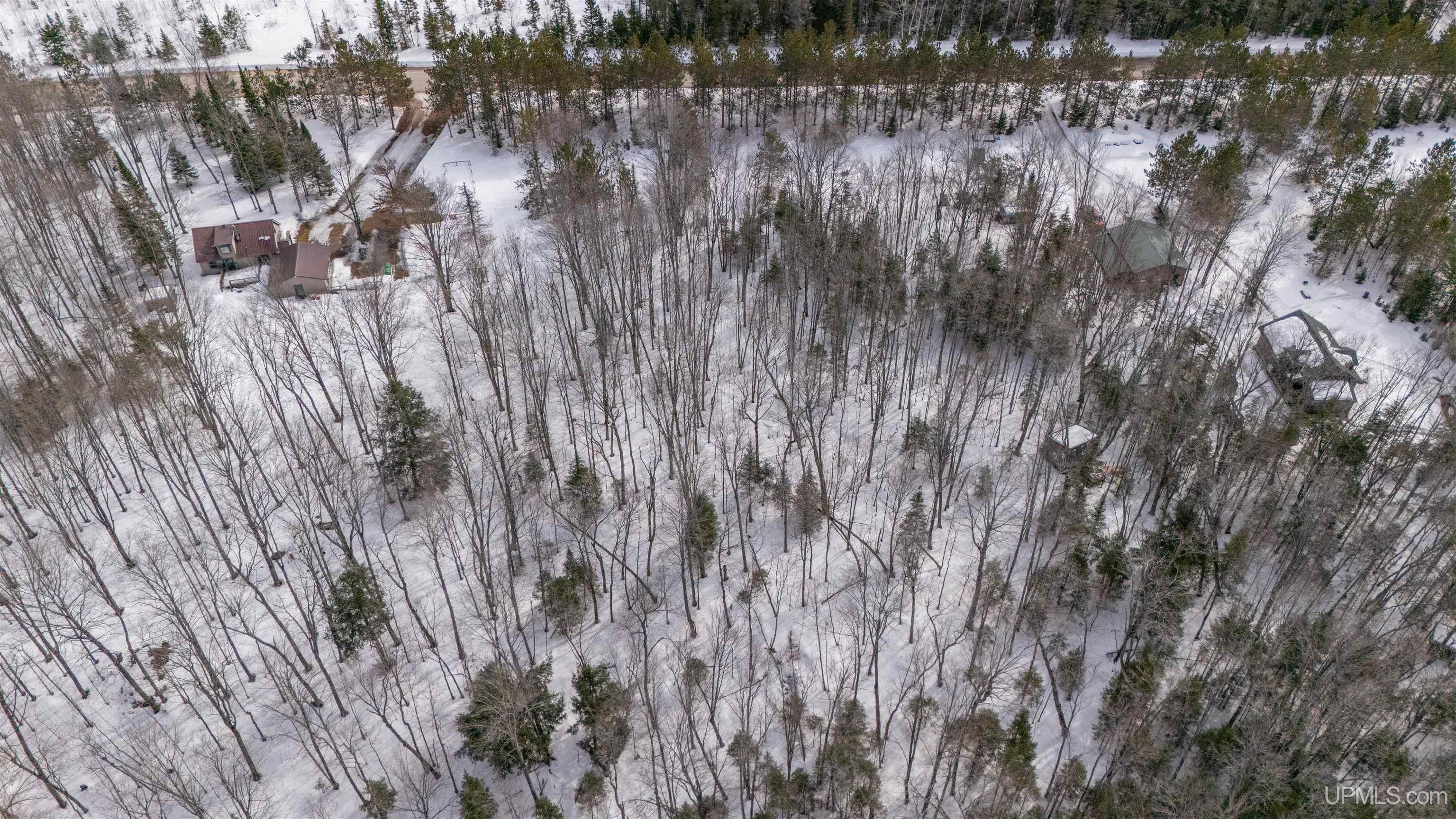 TBD W Smith Lake Road, Manistique, MI, 49854