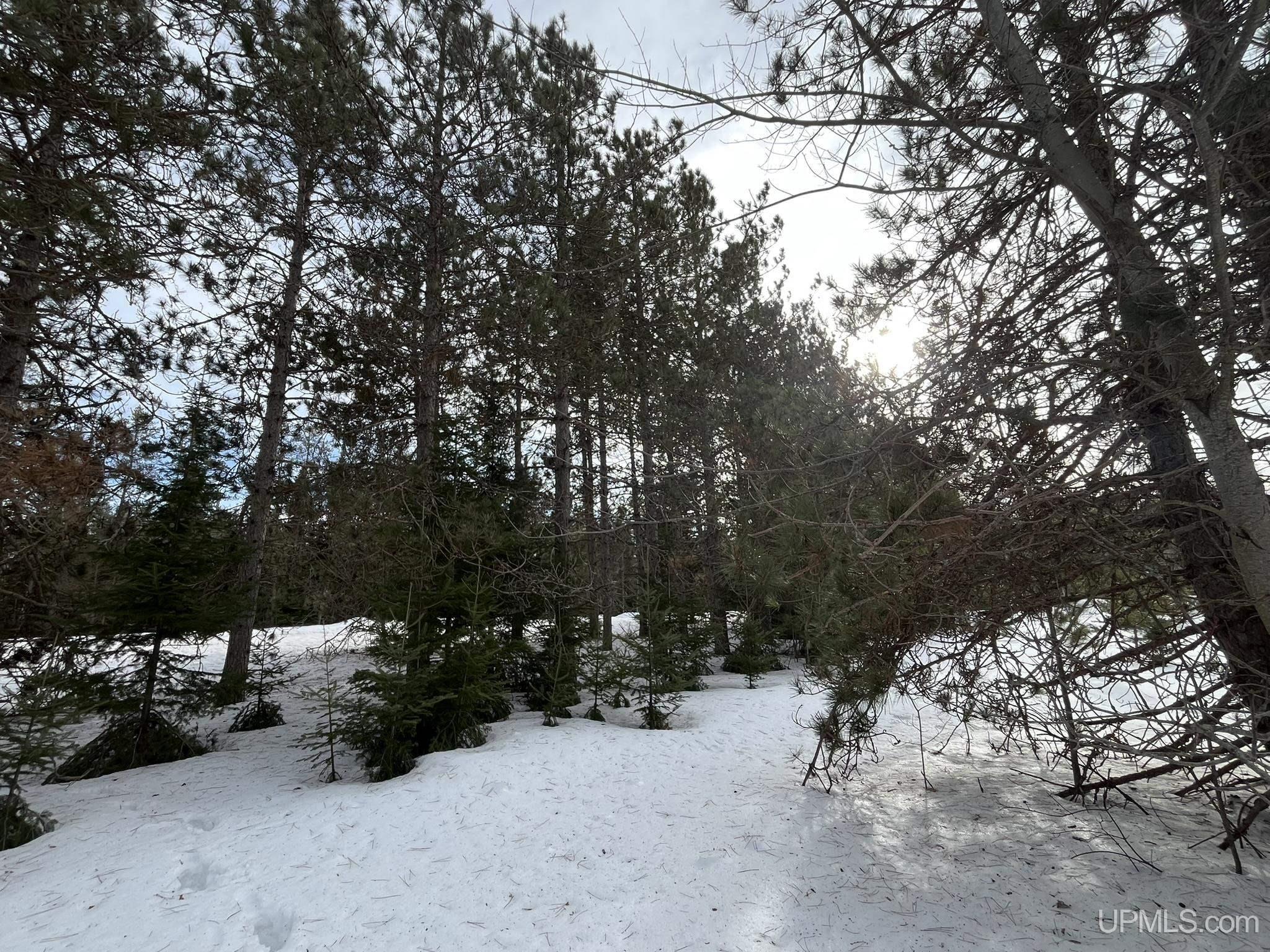 TBD W Smith Lake Road, Manistique, MI, 49854