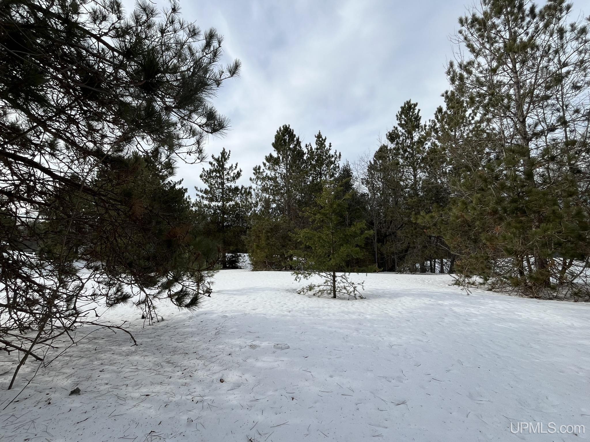 TBD W Smith Lake Road, Manistique, MI, 49854