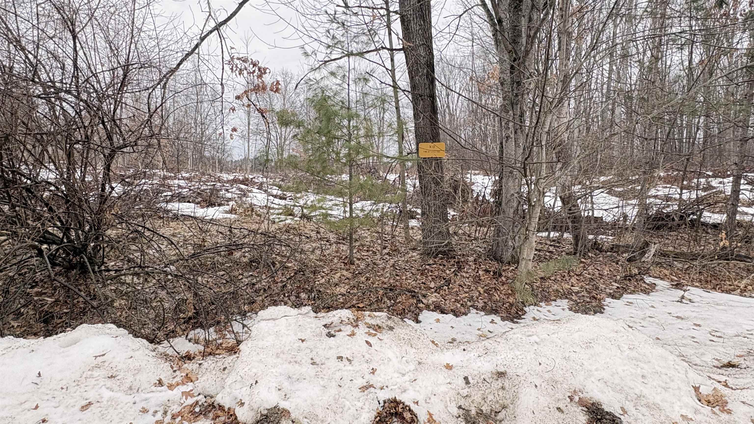 W Road, Harrison, MI, 48625