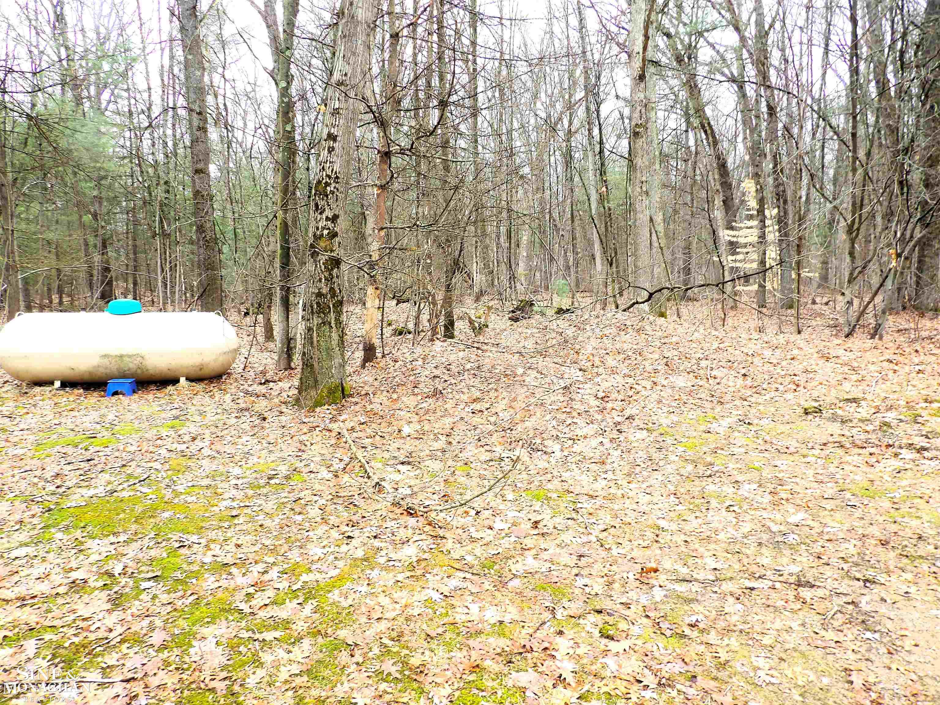 2051 W Parklane Road, White Cloud, MI, 49349