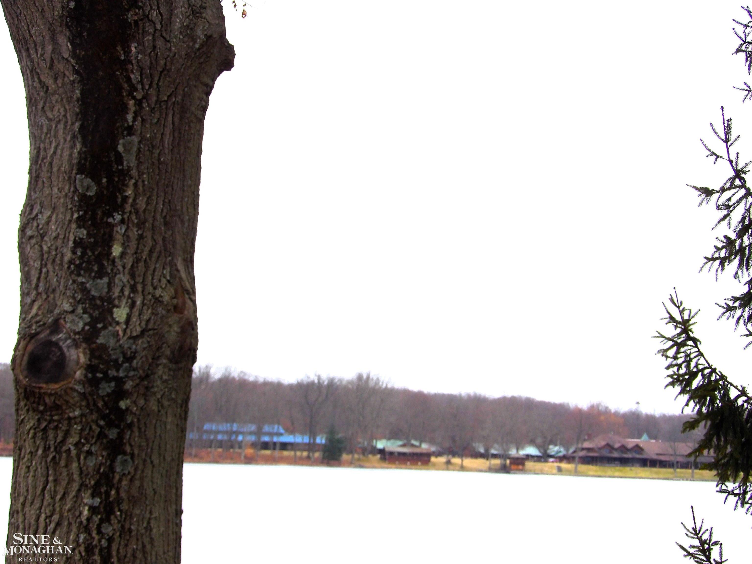 2051 W Parklane Road, White Cloud, MI, 49349