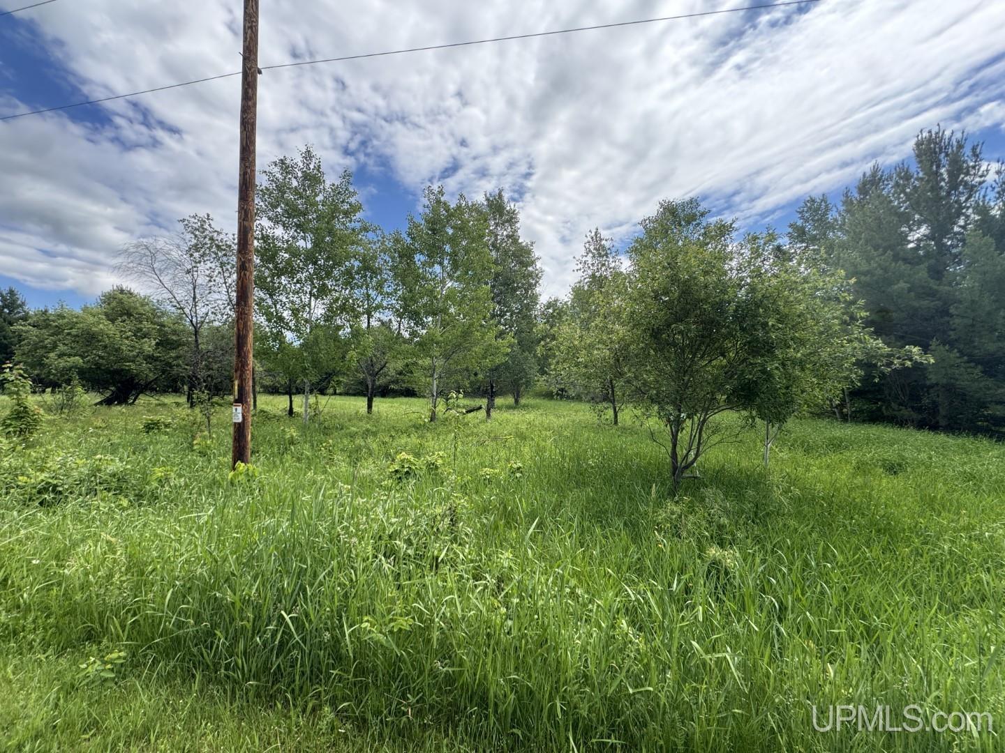 Homes for sale in Baraga, MI | Tbd Bellaire Rd, Baraga, MI 49908 | MLS# 50201245