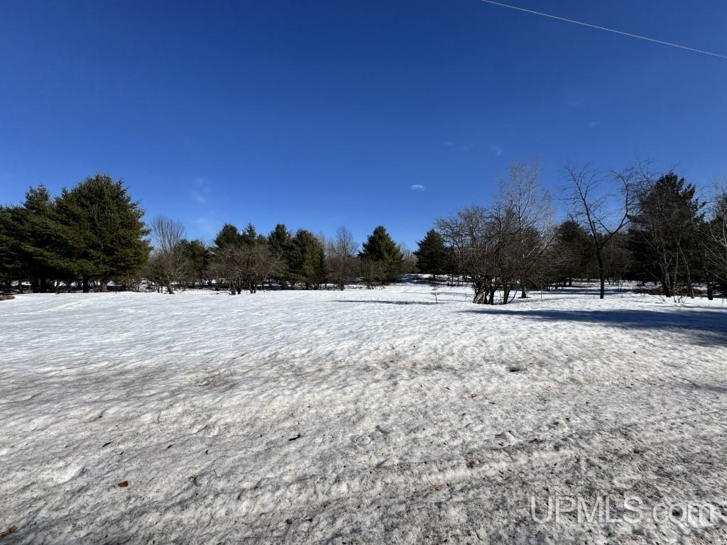 Homes for sale in Baraga, MI | Tbd Bellaire Rd, Baraga, MI 49908 | MLS# 50201245
