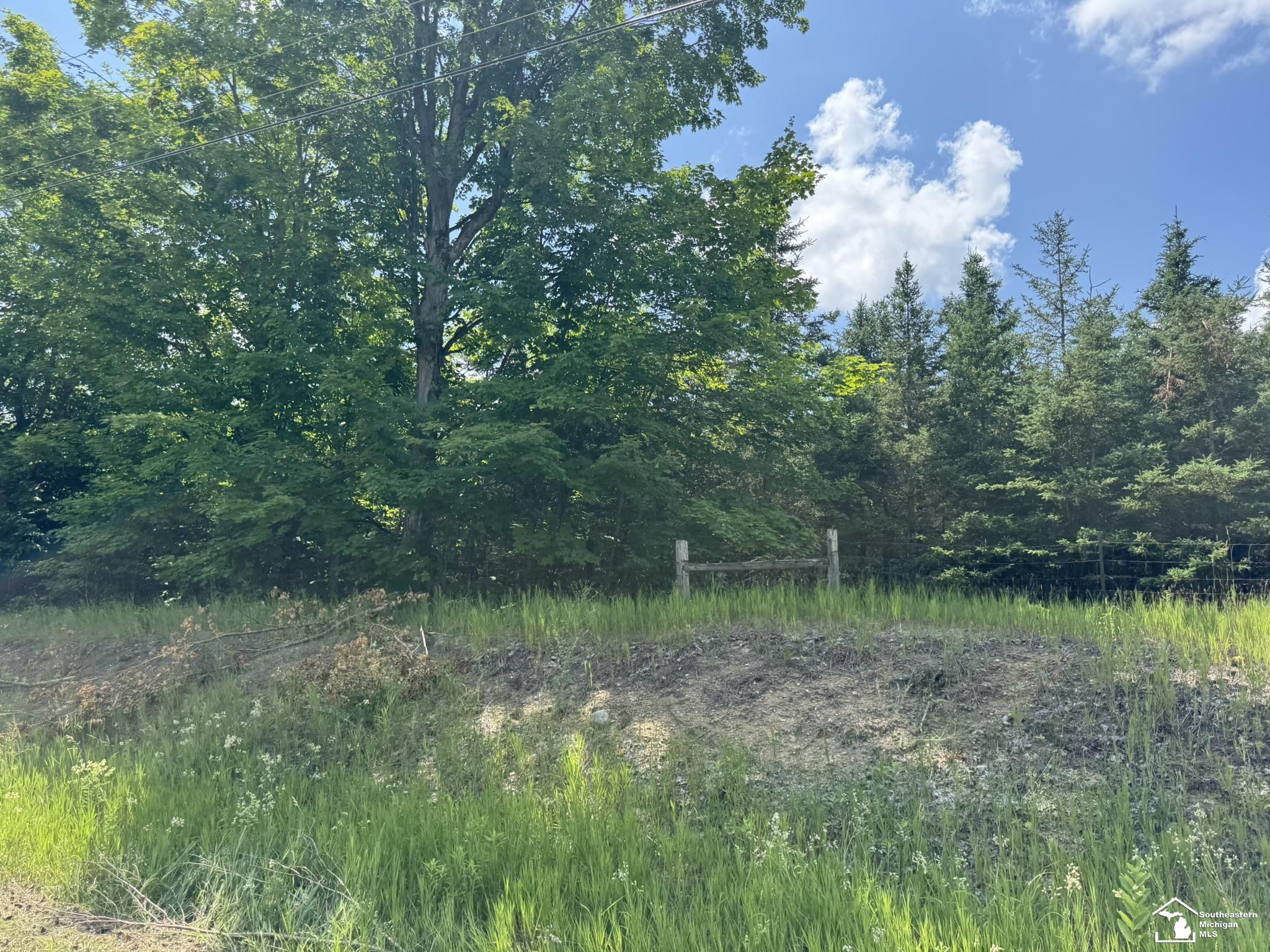 0000 Hayes Tower Road, Gaylord, MI, 49735