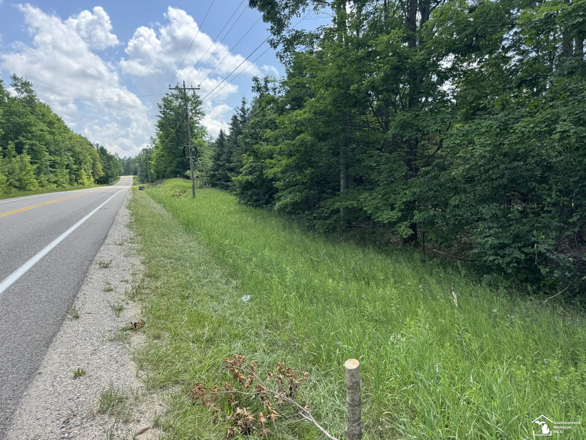 0000 Hayes Tower Road, Gaylord, MI, 49735