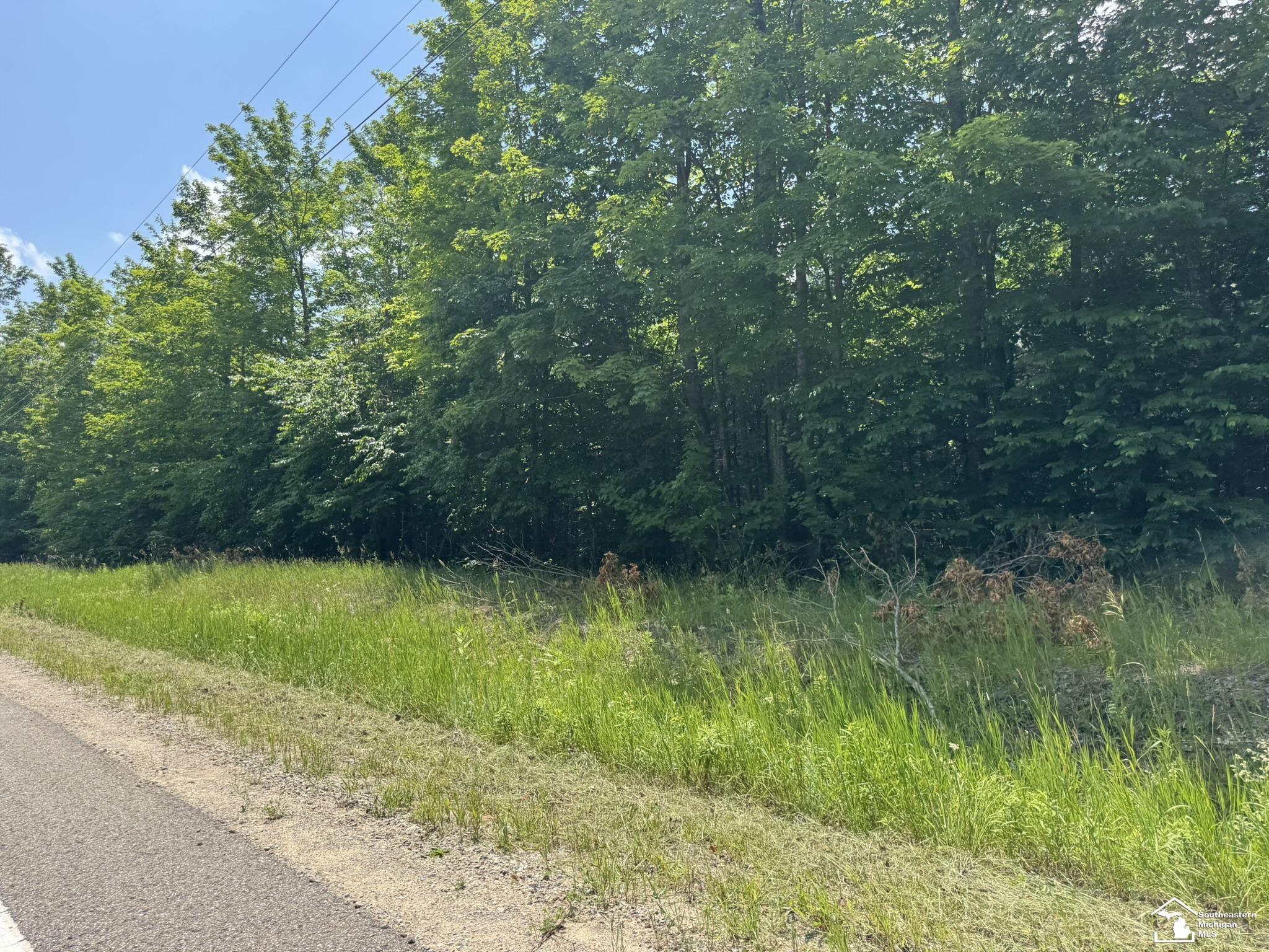 0000 Hayes Tower Road, Gaylord, MI, 49735