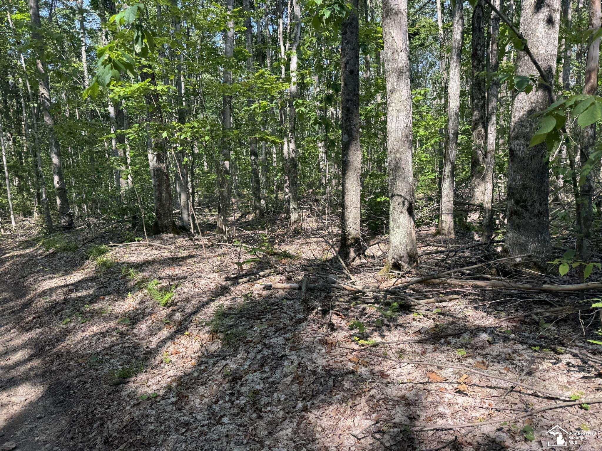 0000 Hayes Tower Road, Gaylord, MI, 49735