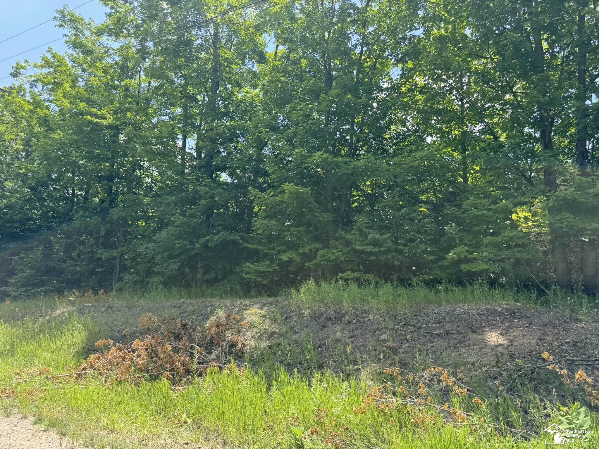 000 Hayes Tower Road, Gaylord, MI, 49735