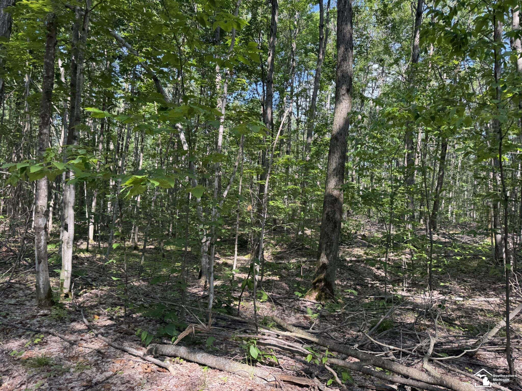 000 Hayes Tower Road, Gaylord, MI, 49735