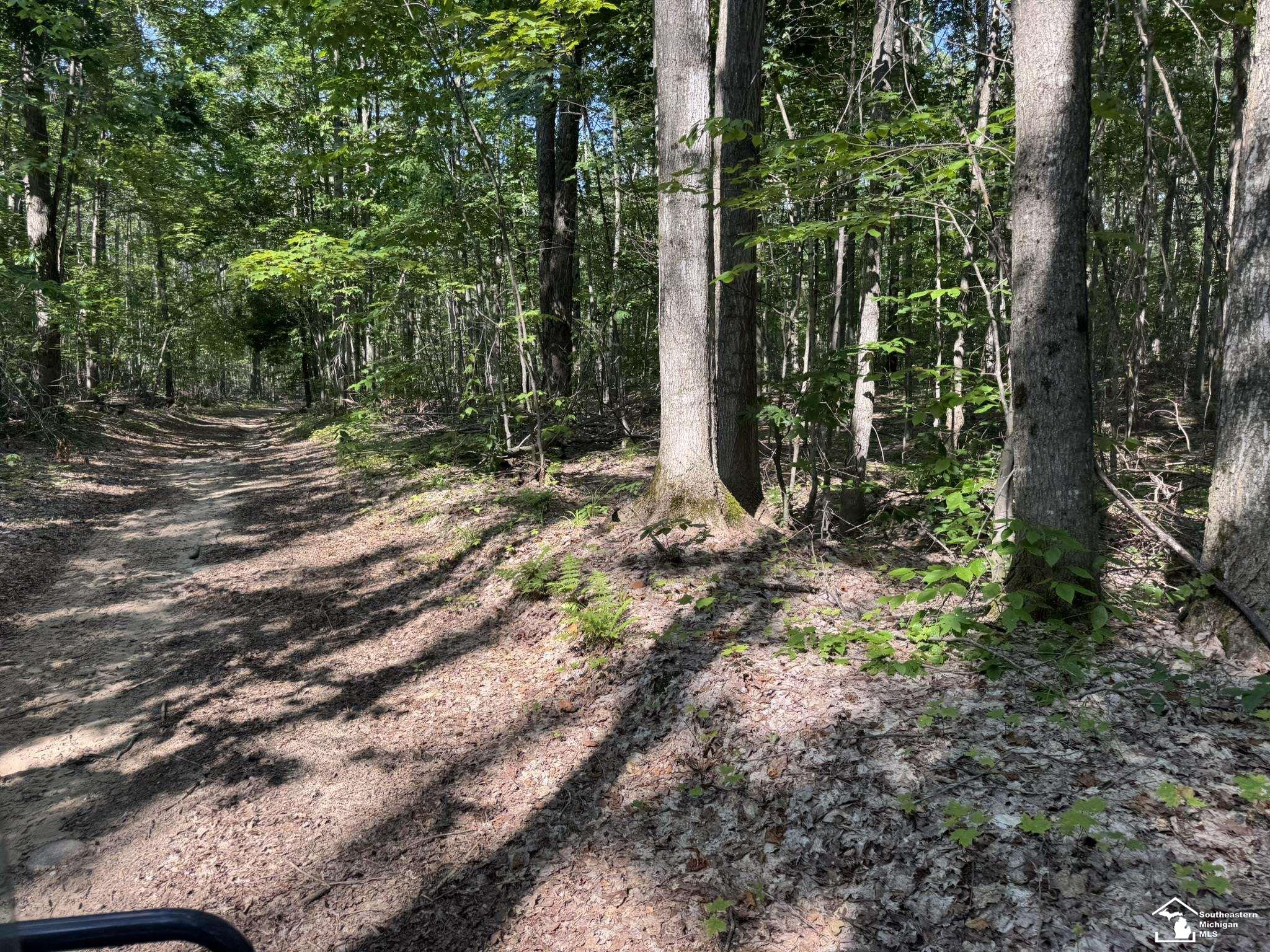 000 Hayes Tower Road, Gaylord, MI, 49735