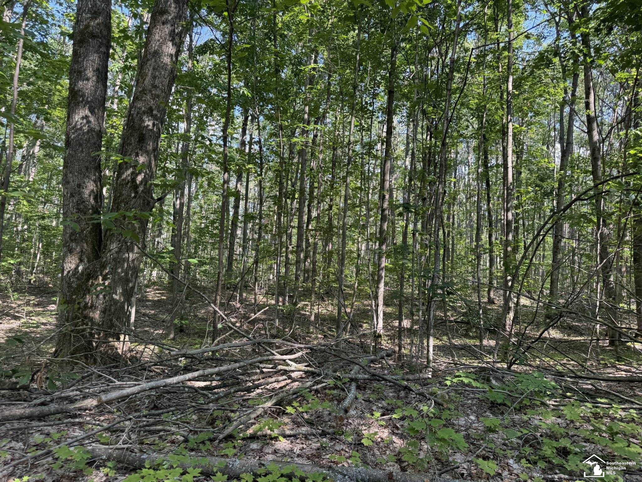 000 Hayes Tower Road, Gaylord, MI, 49735