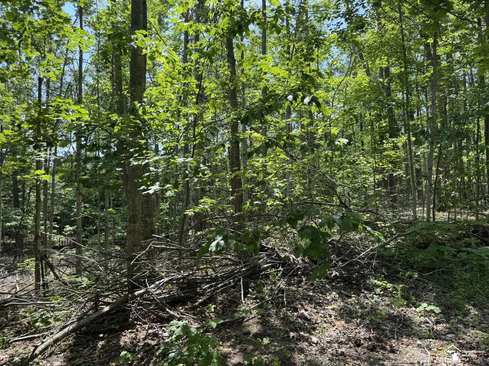 000 Hayes Tower Road, Gaylord, MI, 49735