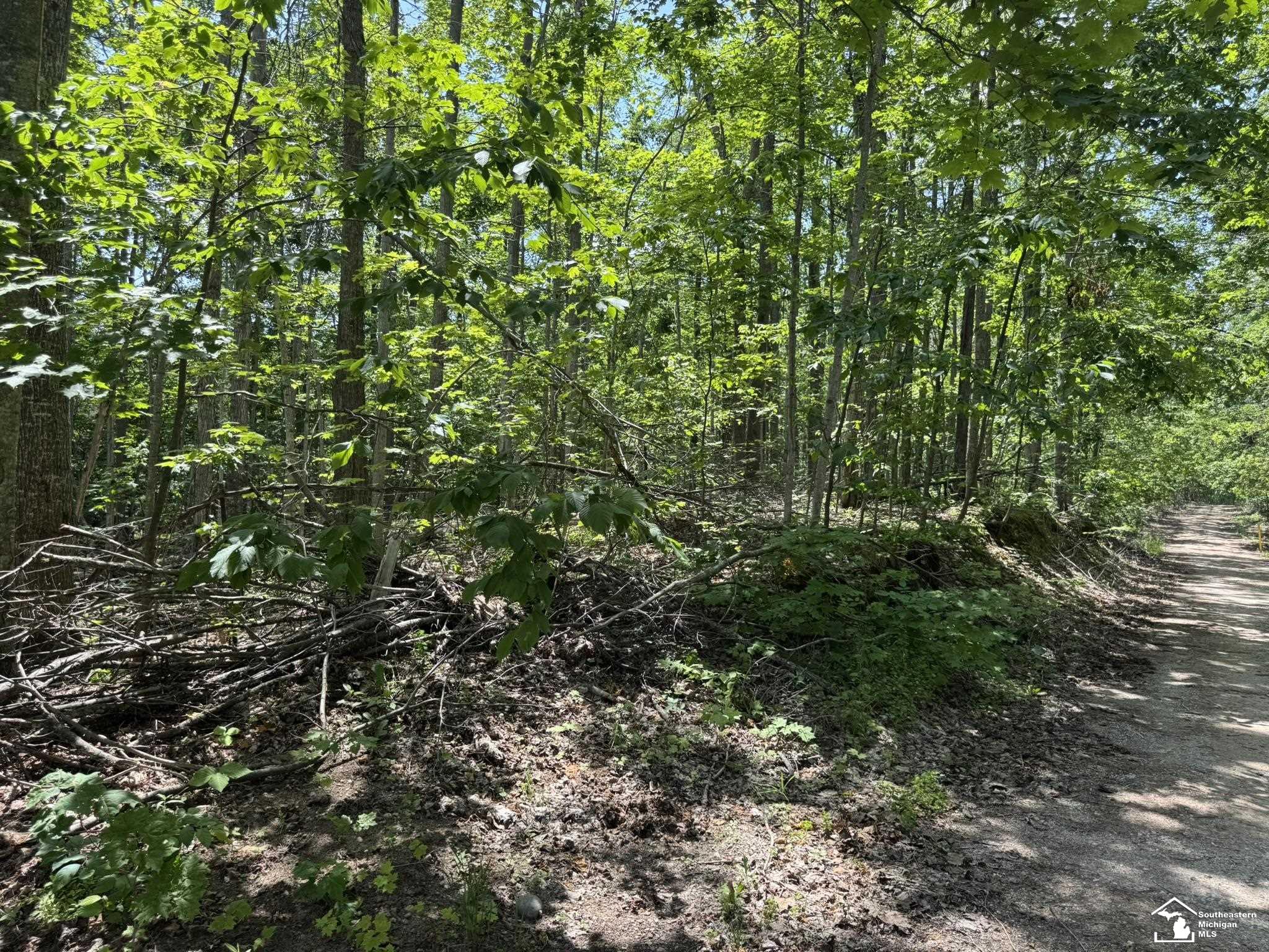 Homes for sale in Gaylord City Otsego, MI | 000 Hayes Tower Rd, Gaylord City Otsego, MI 49735 | MLS# 57050201408