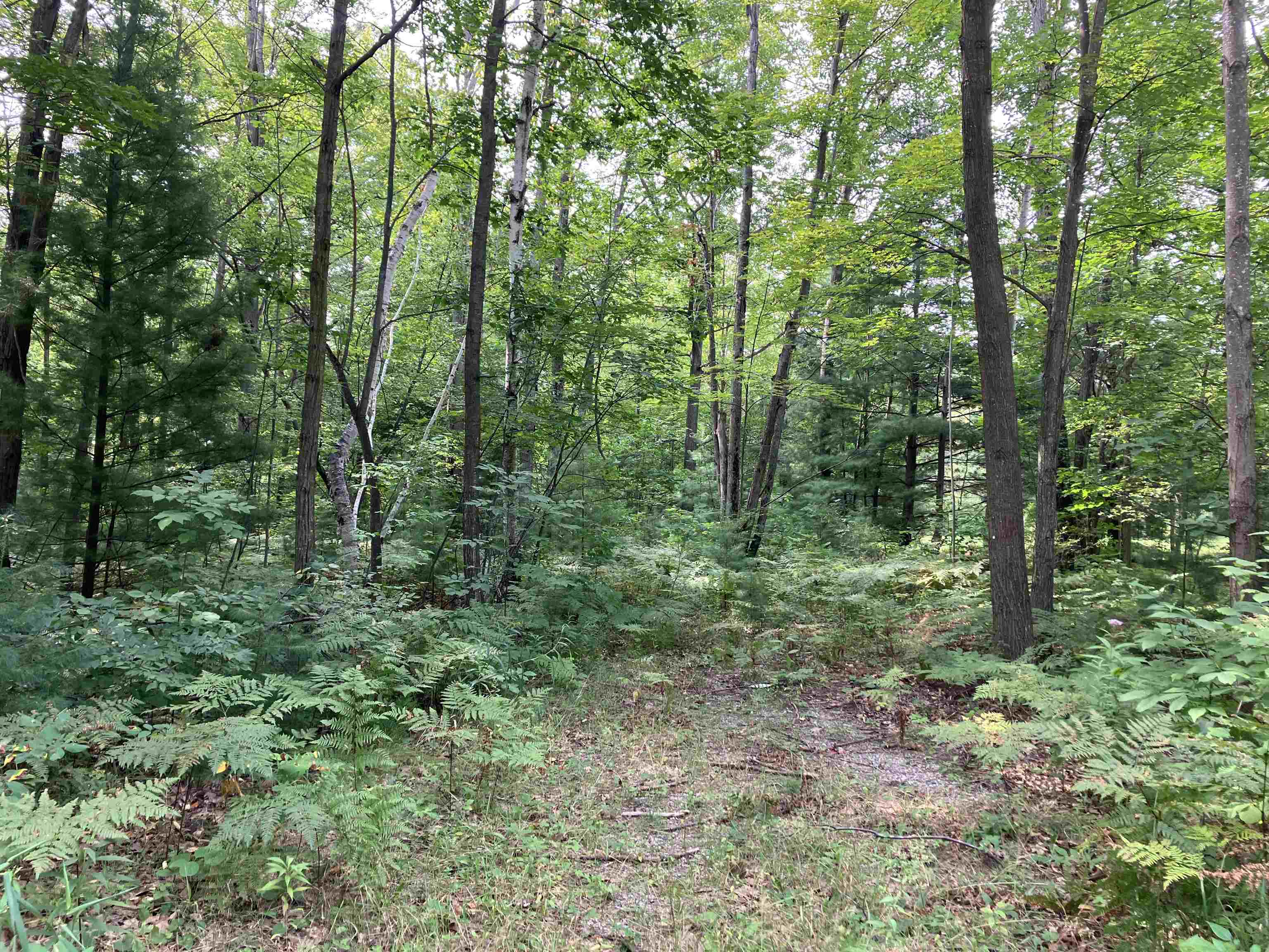 3642 Beech Street, Beaverton, MI, 48612