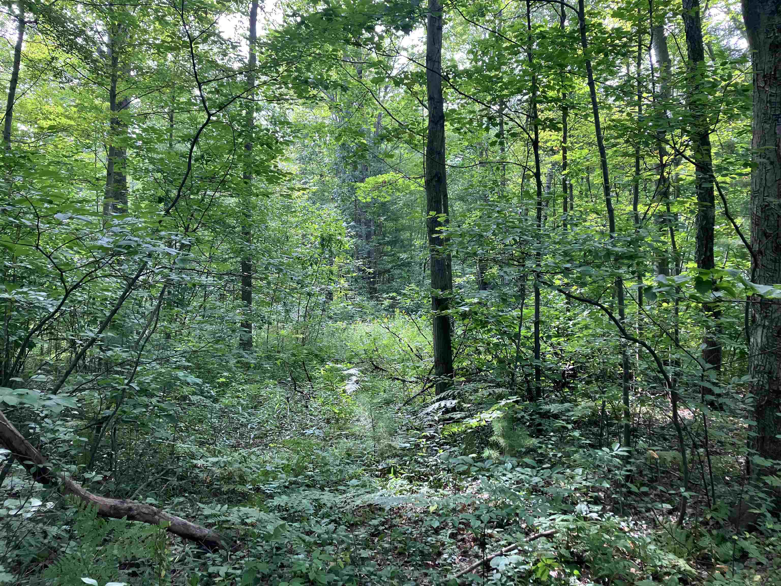 3642 Beech Street, Beaverton, MI, 48612