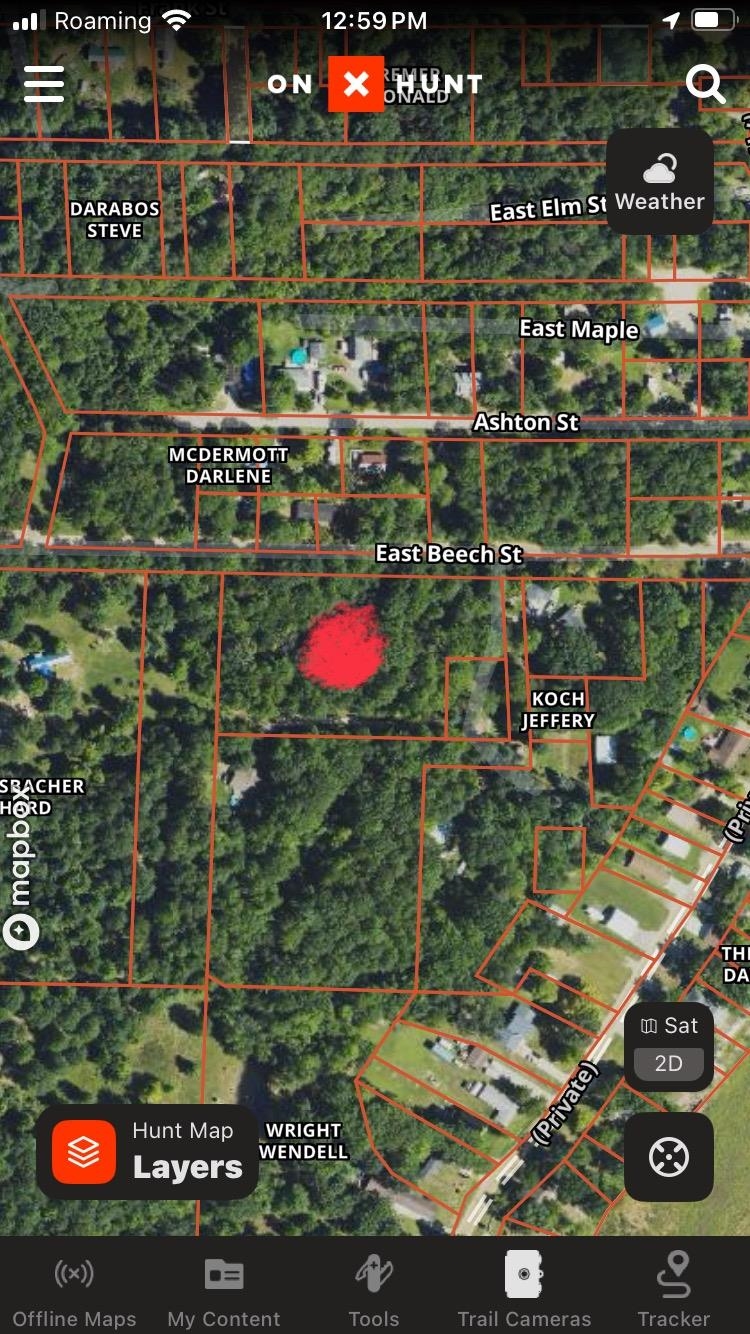 3642 Beech Street, Beaverton, MI, 48612