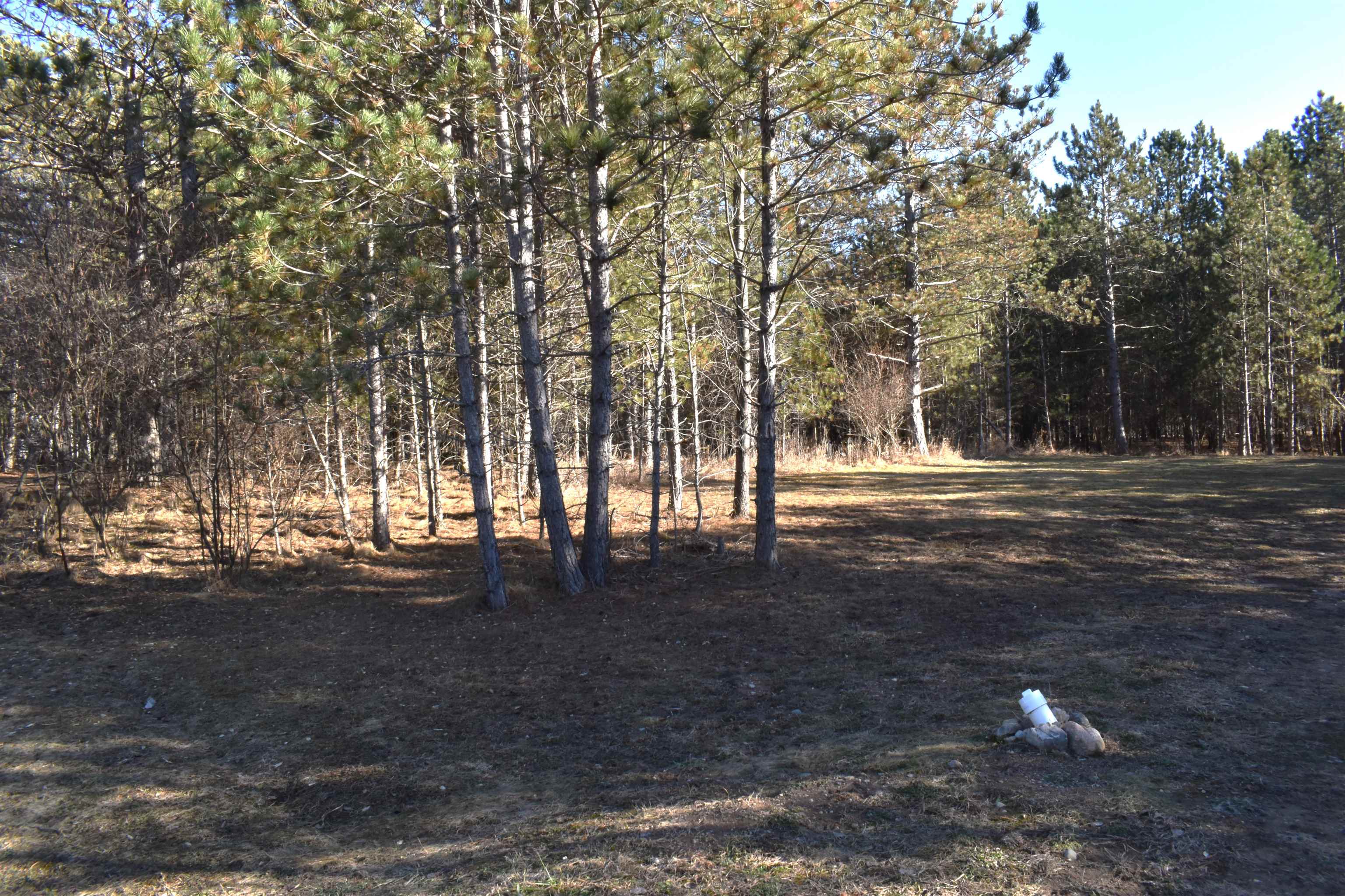 5438 Kings Way photo 8