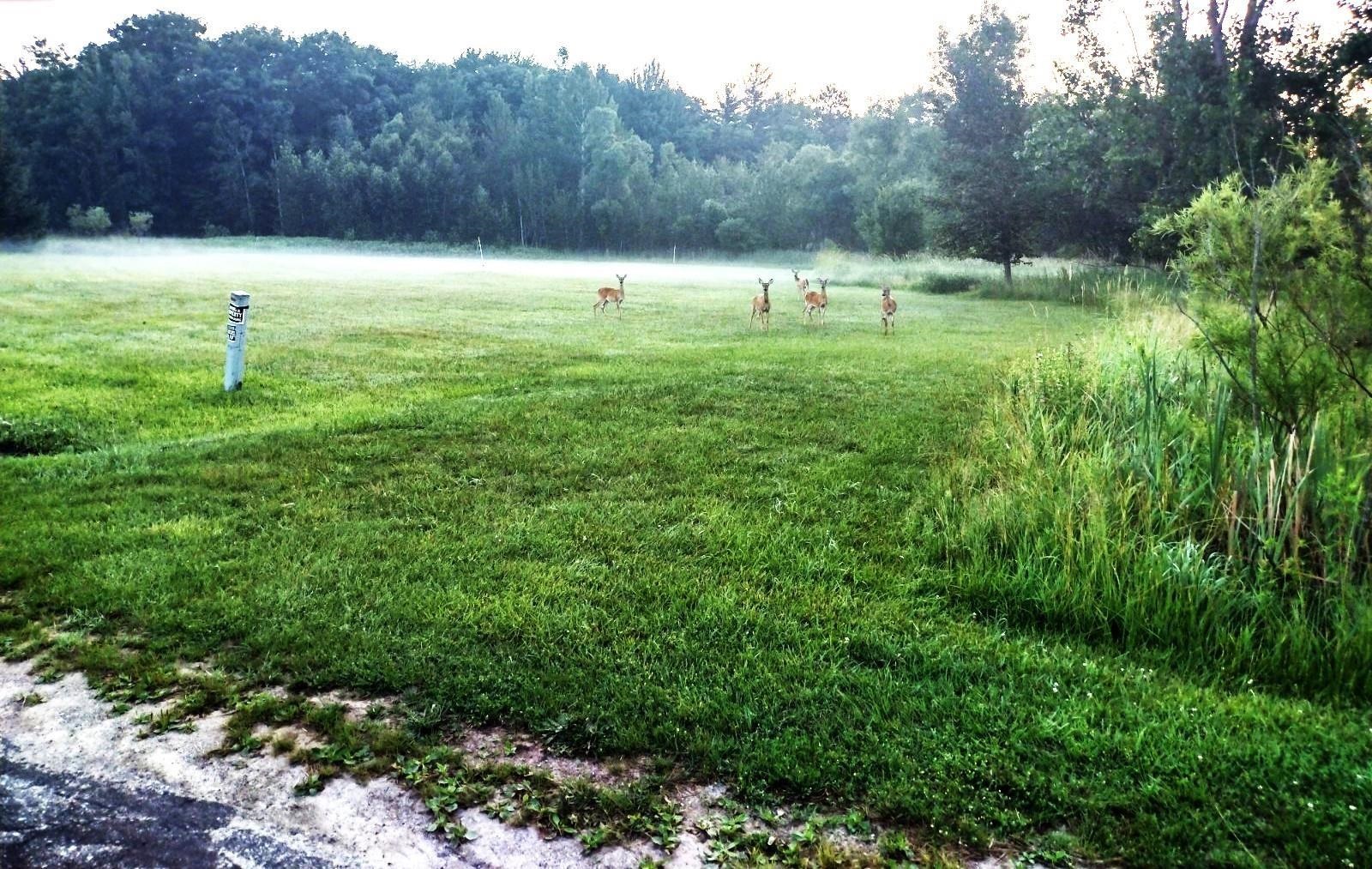 Lot 49 Appleby Court, Gladwin, MI, 48624