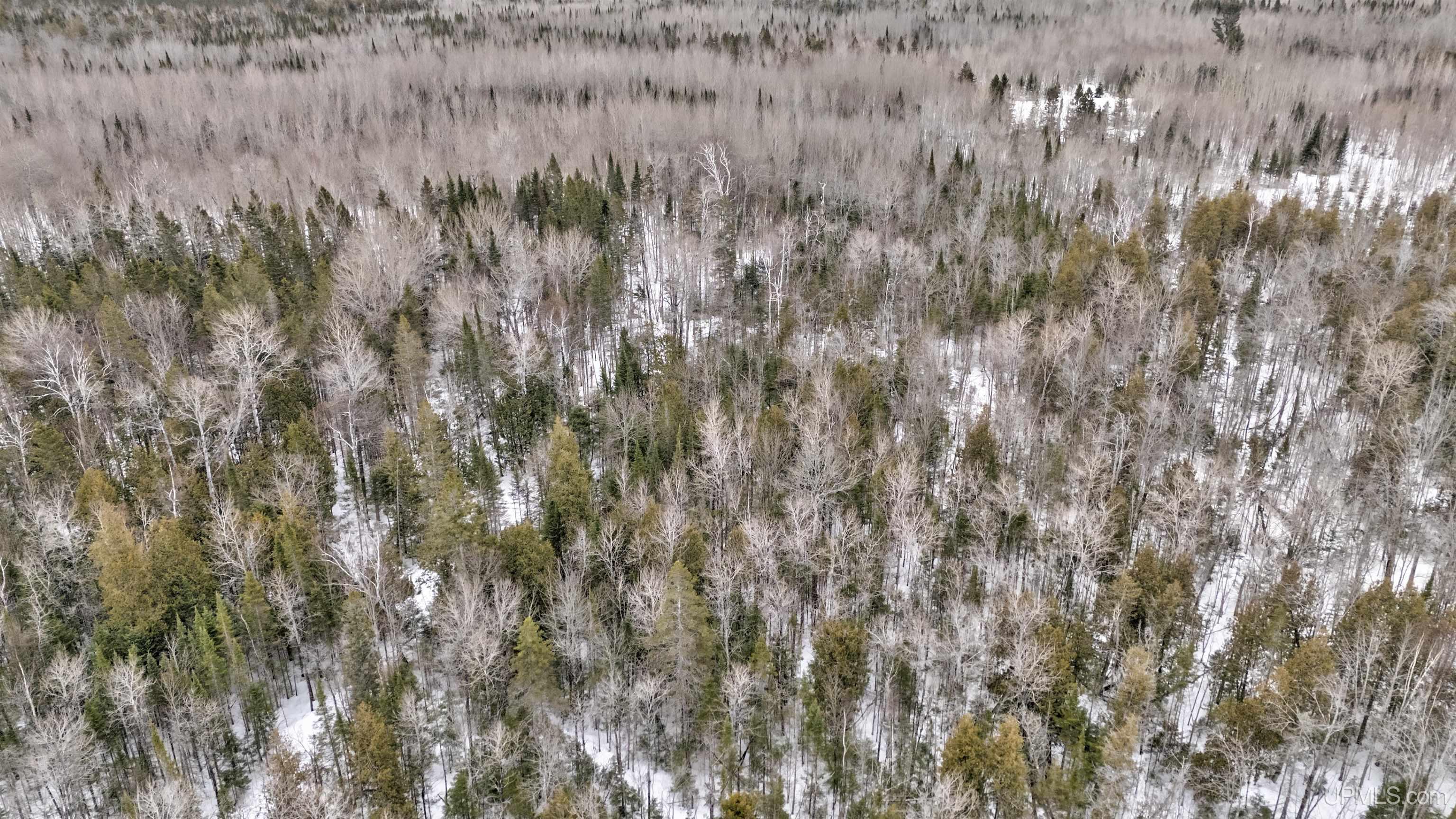 17461 W Us 2 Highway, Gould City, MI, 49838