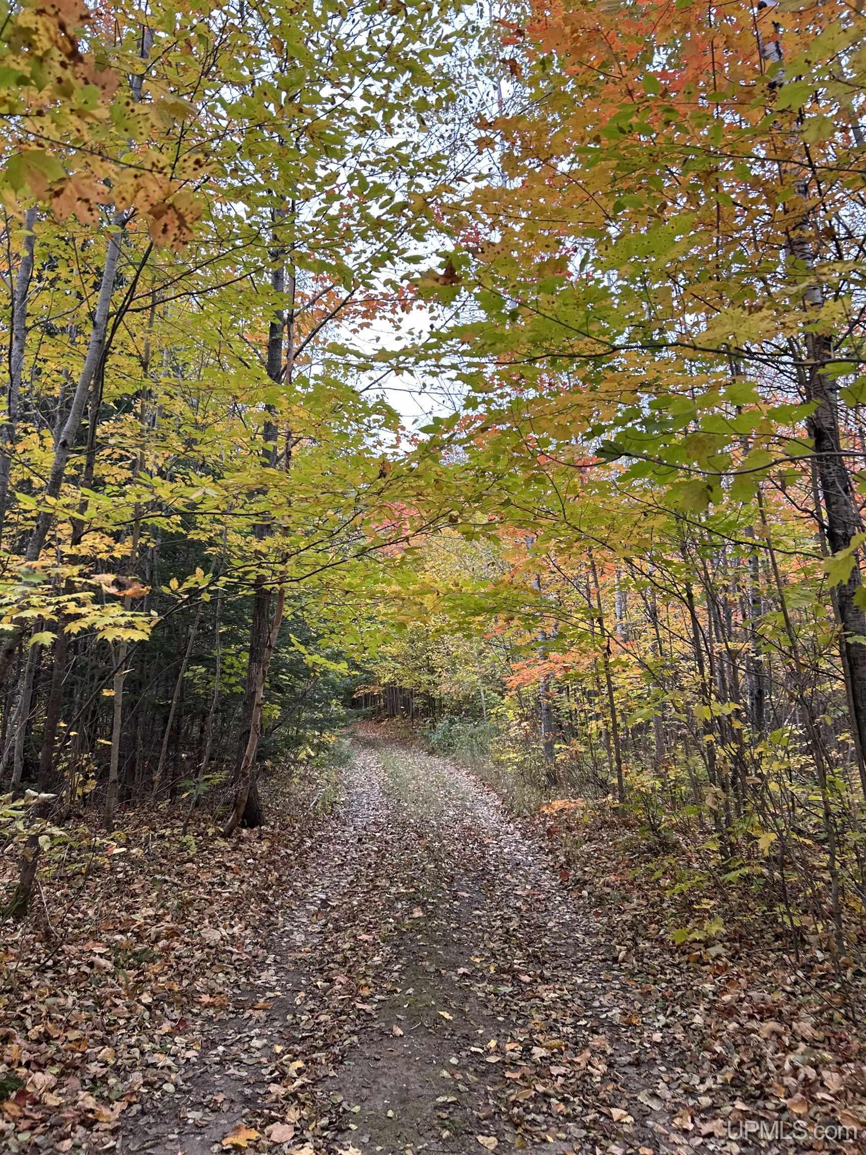 17461 W Us 2 Highway, Gould City, MI, 49838