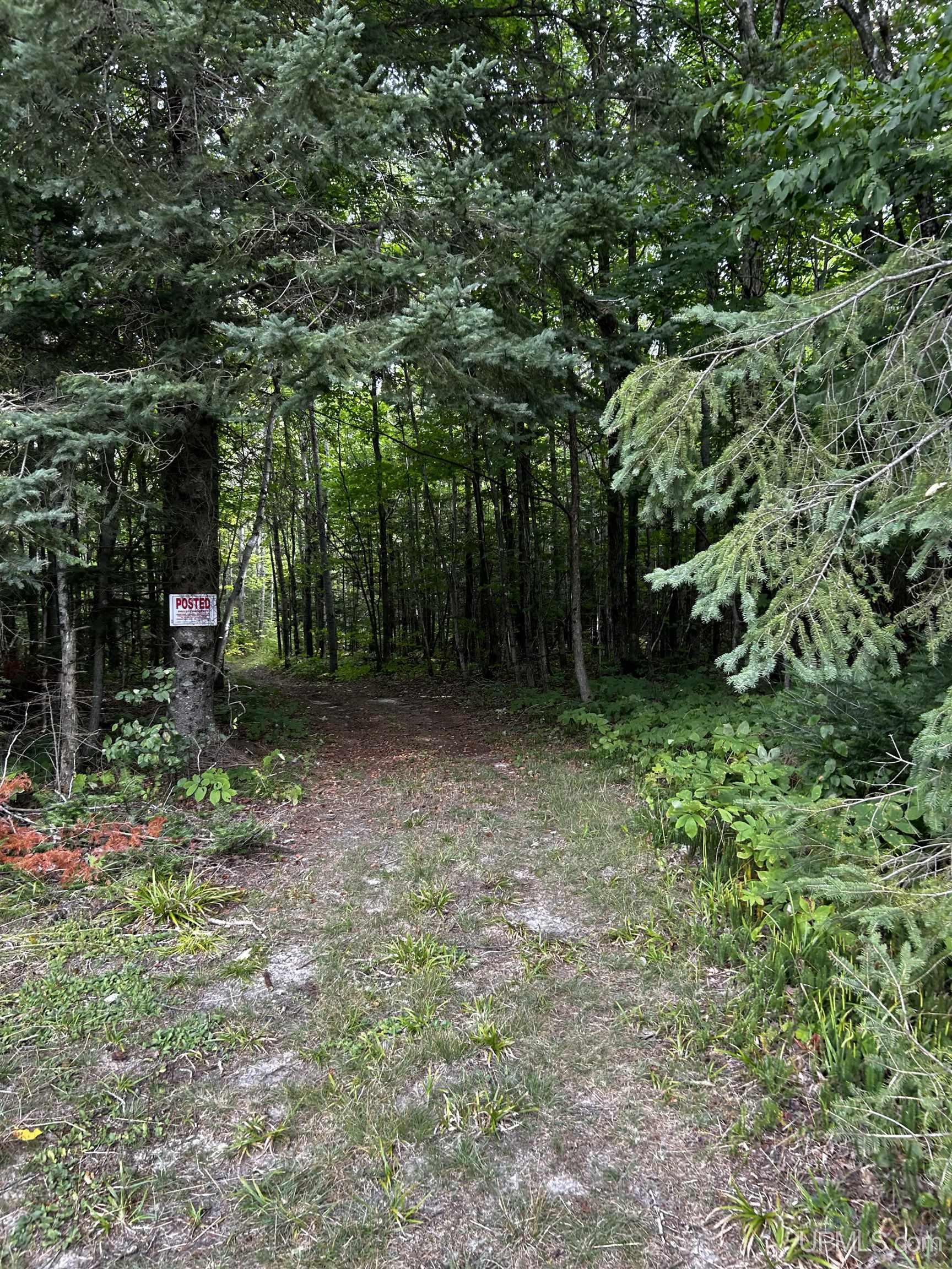 17461 W Us 2 Highway, Gould City, MI, 49838