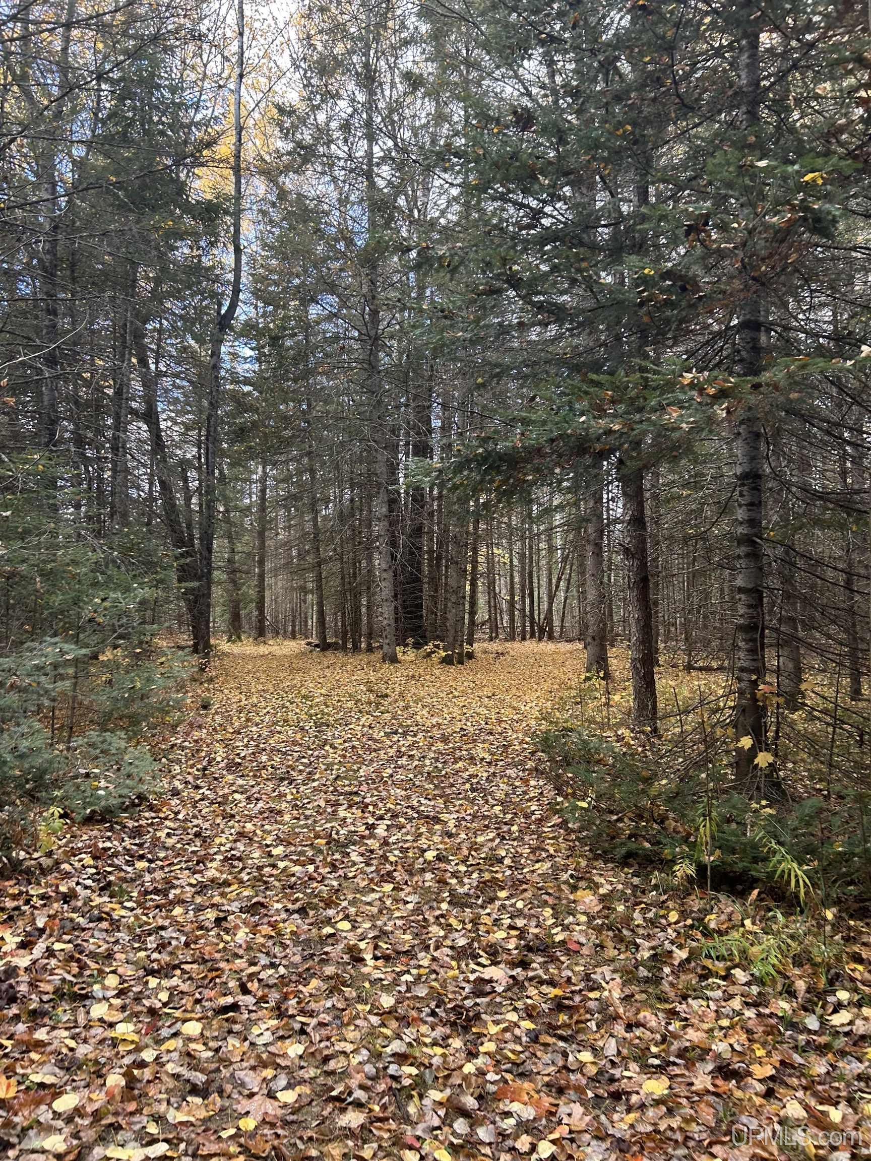 17461 W Us 2 Highway, Gould City, MI, 49838