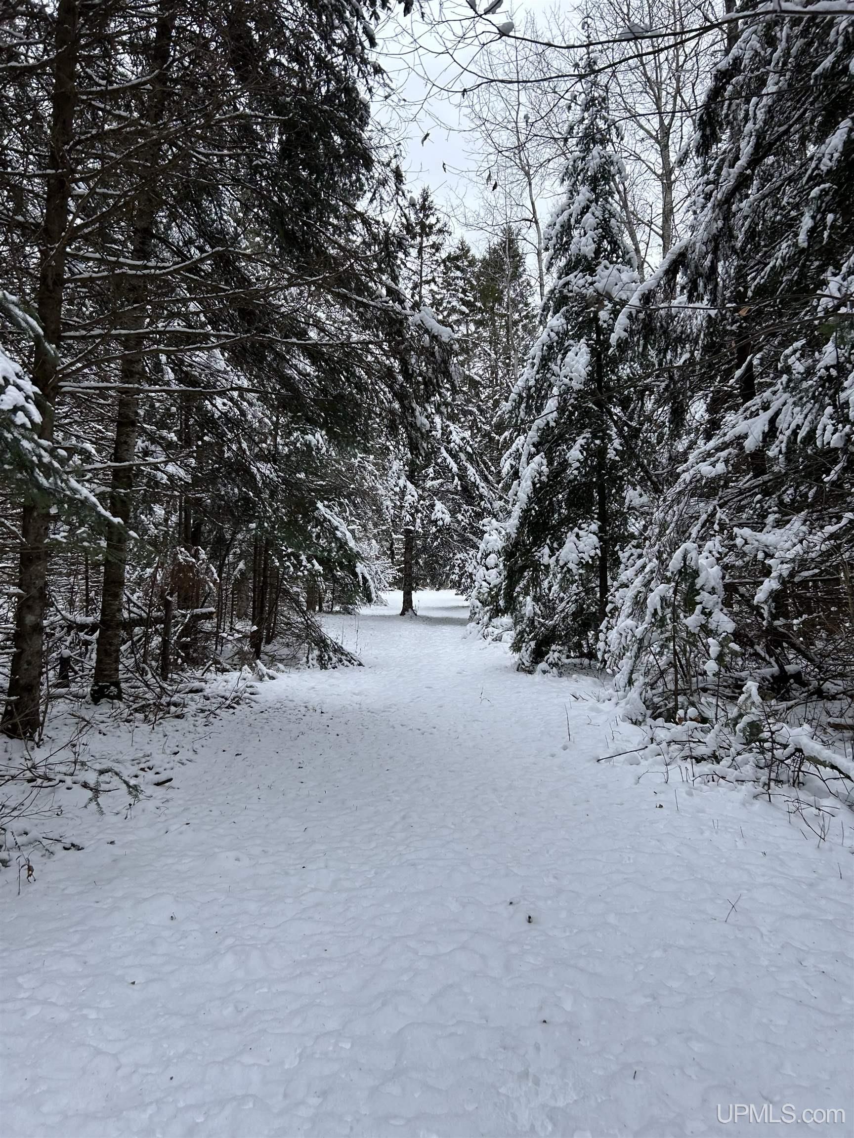 17461 W Us 2 Highway, Gould City, MI, 49838