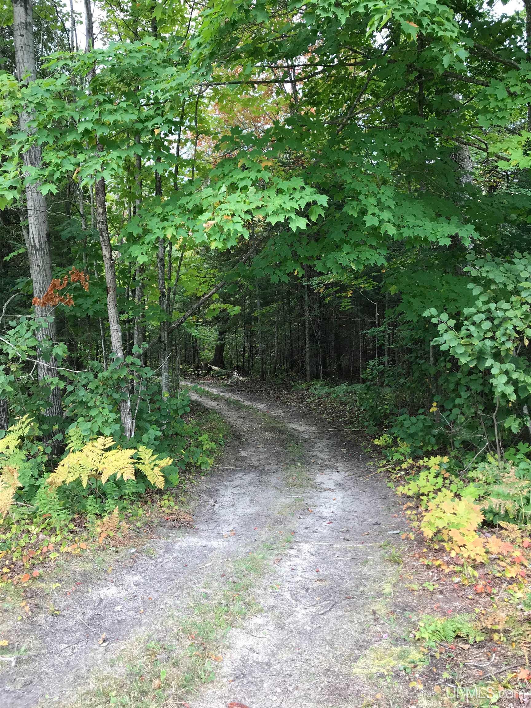 17461 W Us 2 Highway, Gould City, MI, 49838