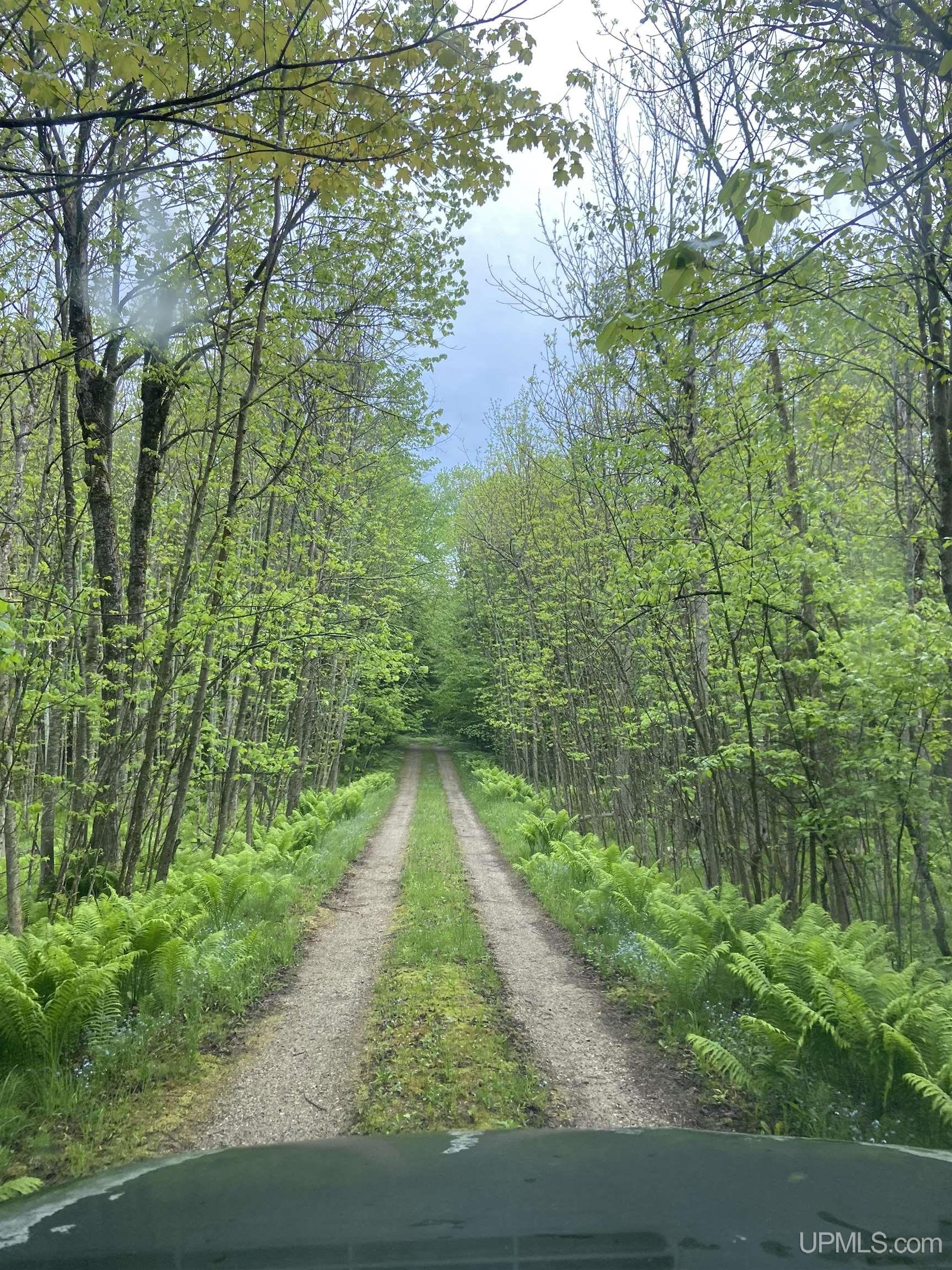 17461 W Us 2 Highway, Gould City, MI, 49838