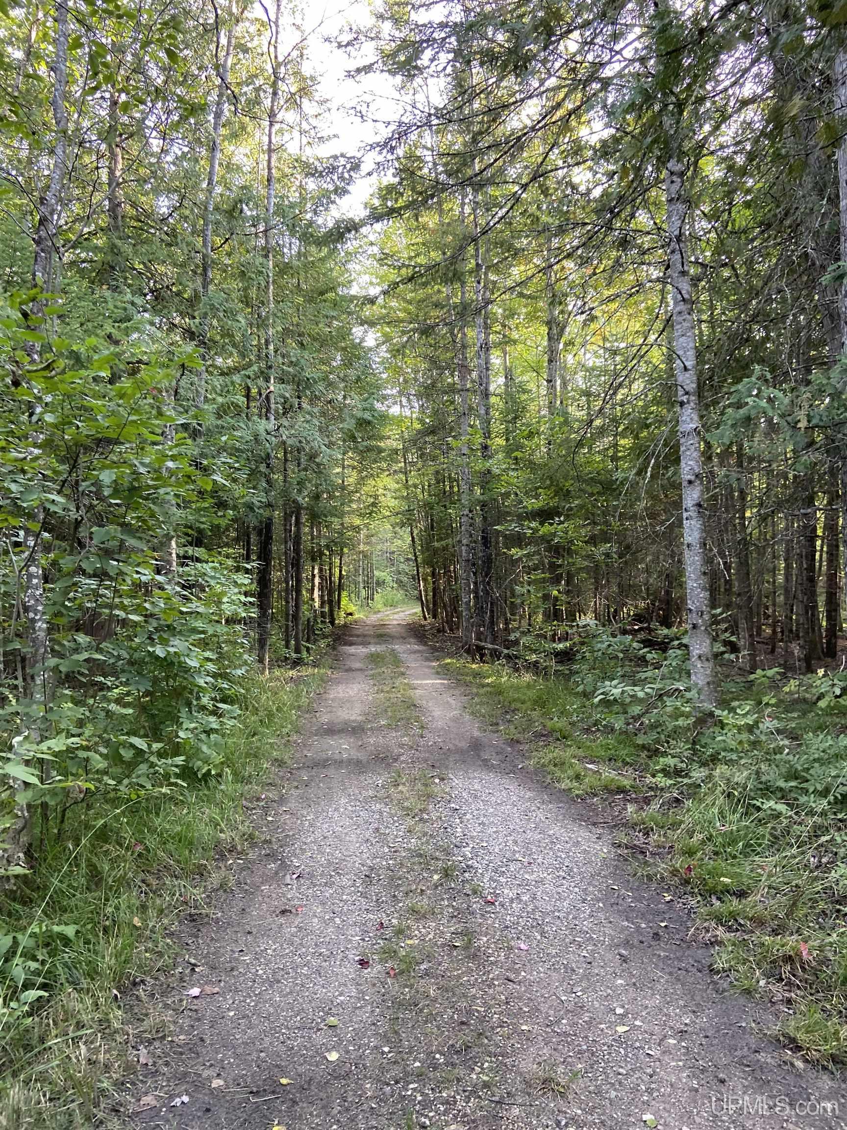 17461 W Us 2 Highway, Gould City, MI, 49838