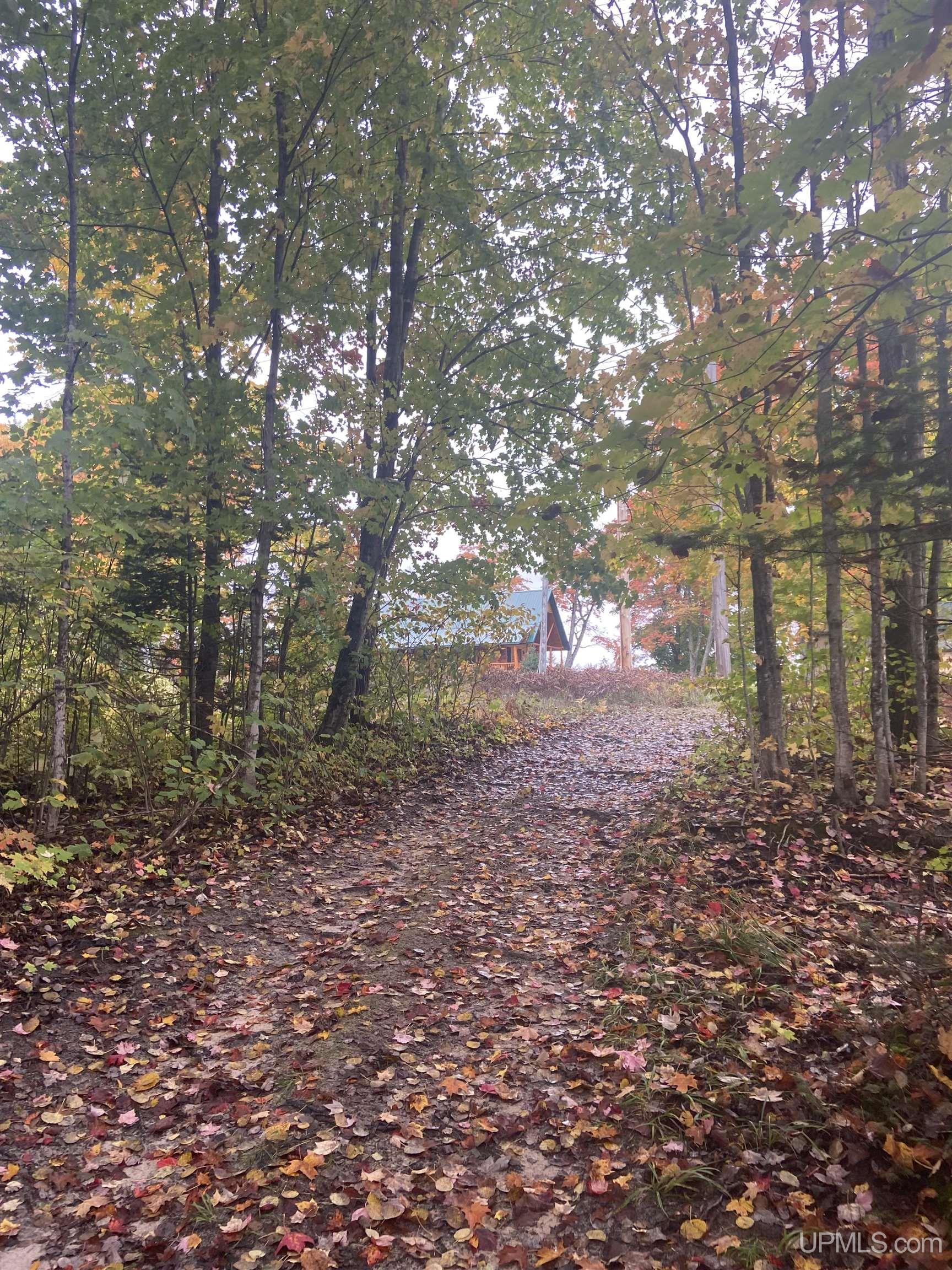 17461 W Us 2 Highway, Gould City, MI, 49838