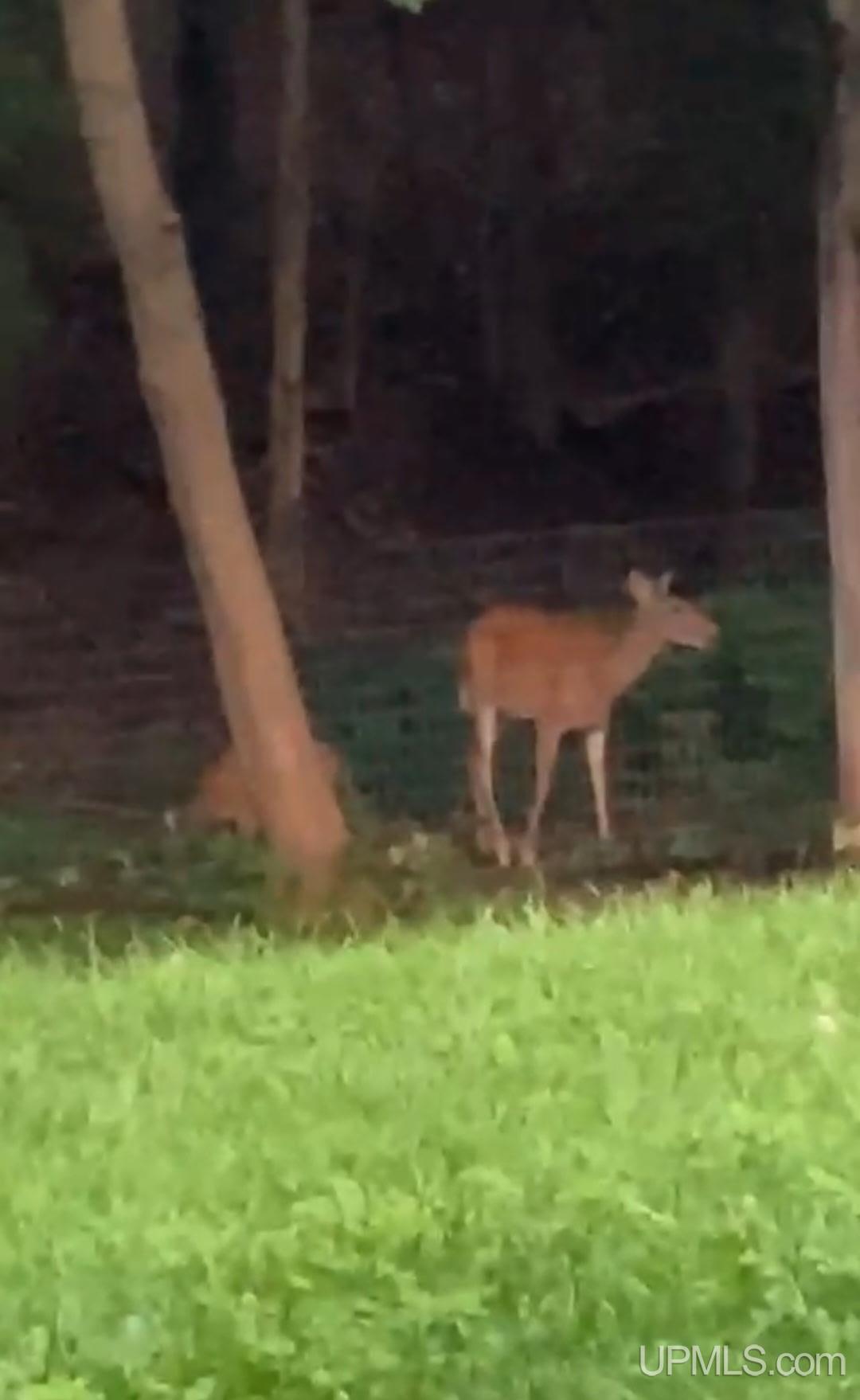 423 W Hampton Street, Marquette, MI, 49855