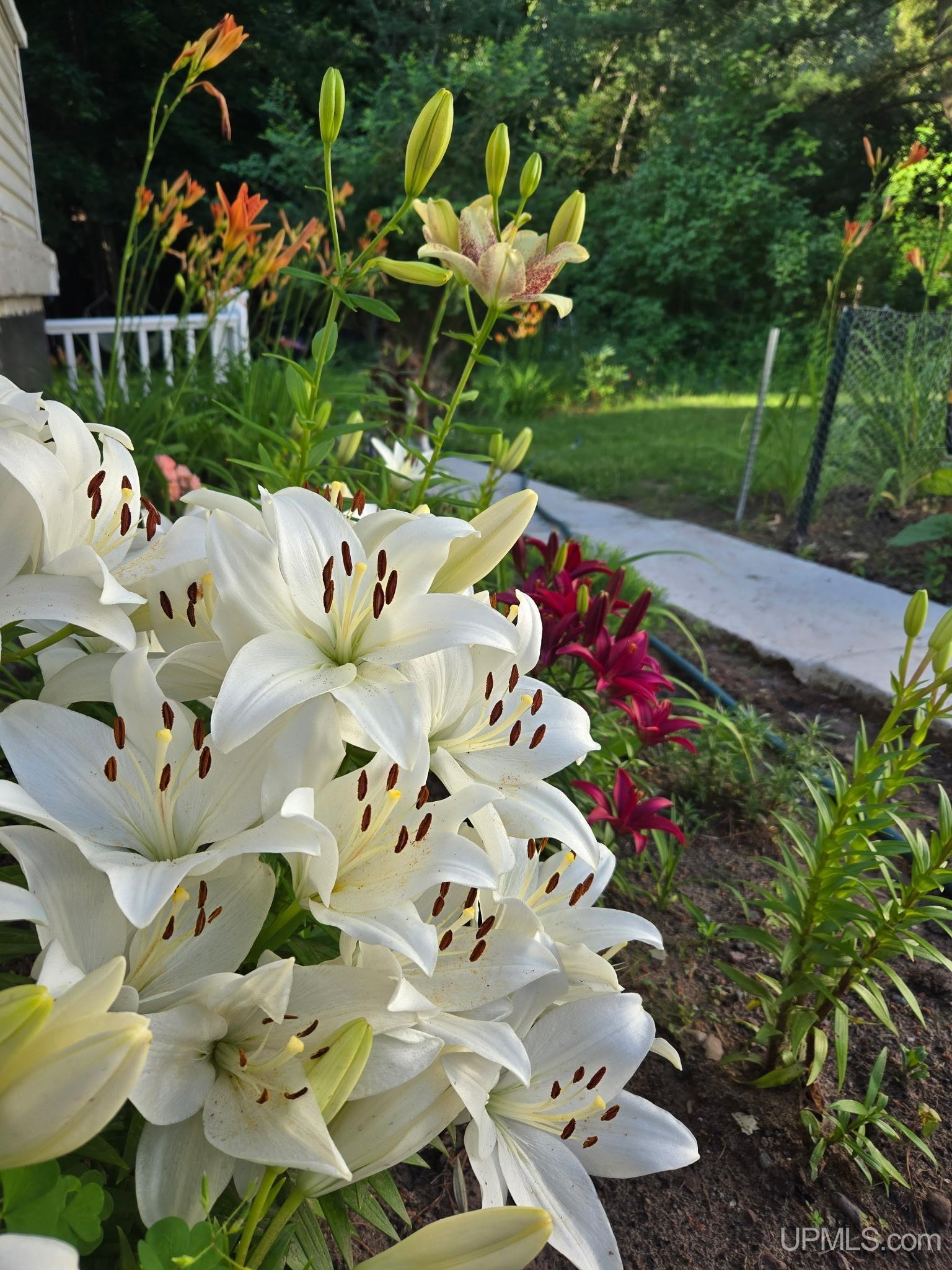 423 W Hampton Street, Marquette, MI, 49855