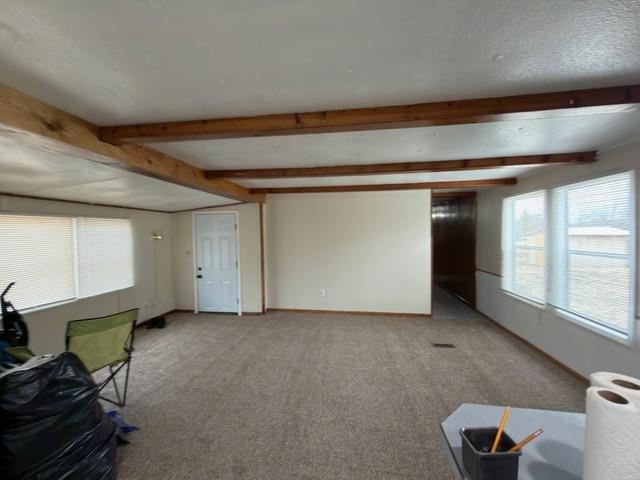 7820 Newberry Road, Alger, MI, 48610