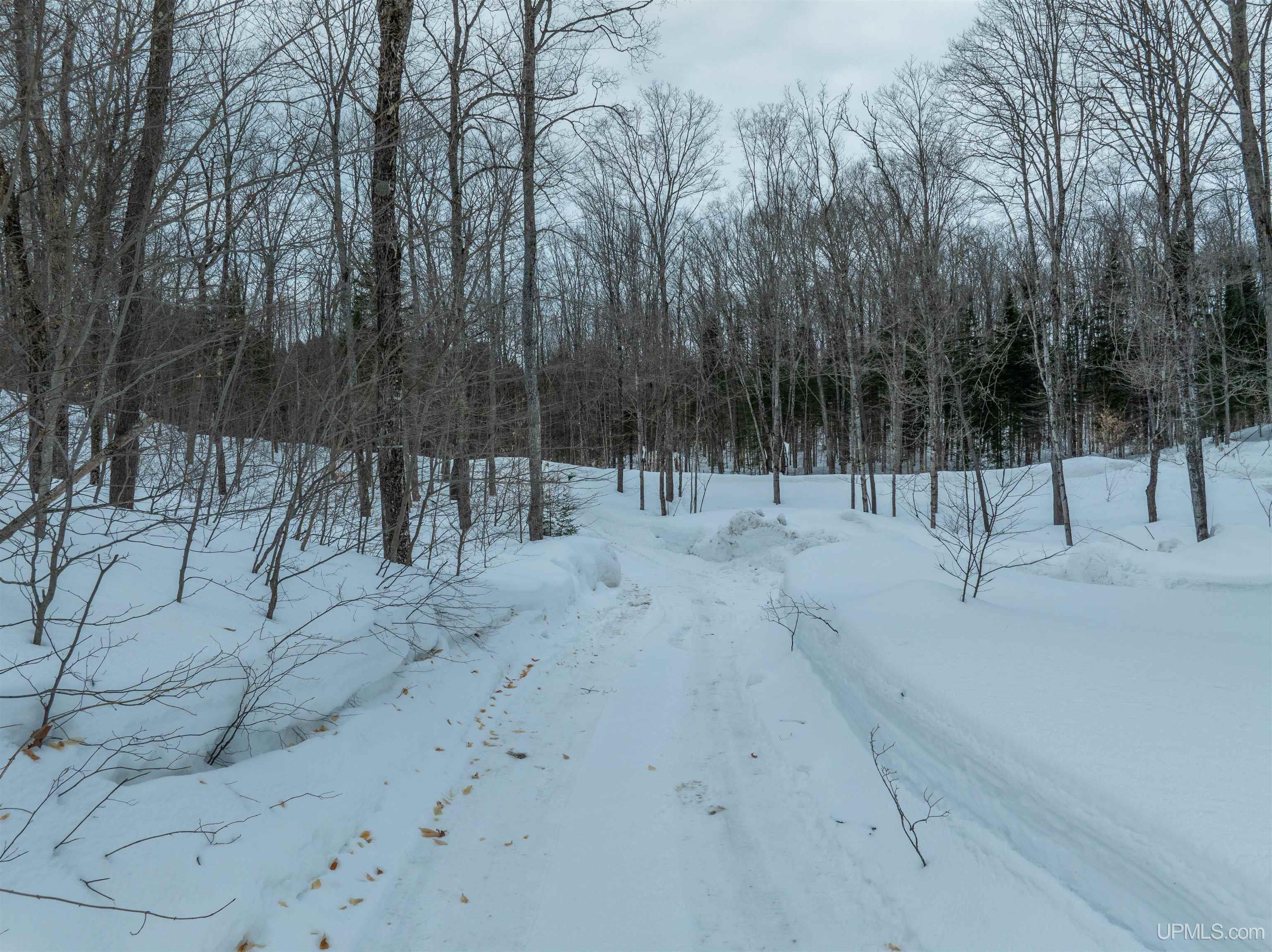 Homes for sale in Munising, MI | E9915 Old Indiantown Rd, Munising, MI 49862 | MLS# 50201851