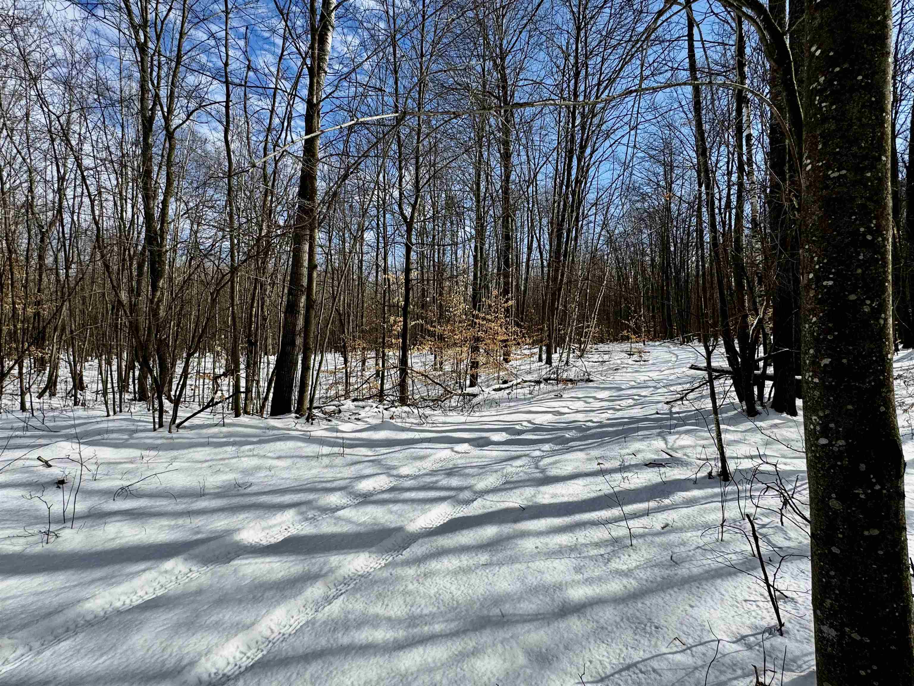 1350 Birch Road, Harrison, MI, 48625